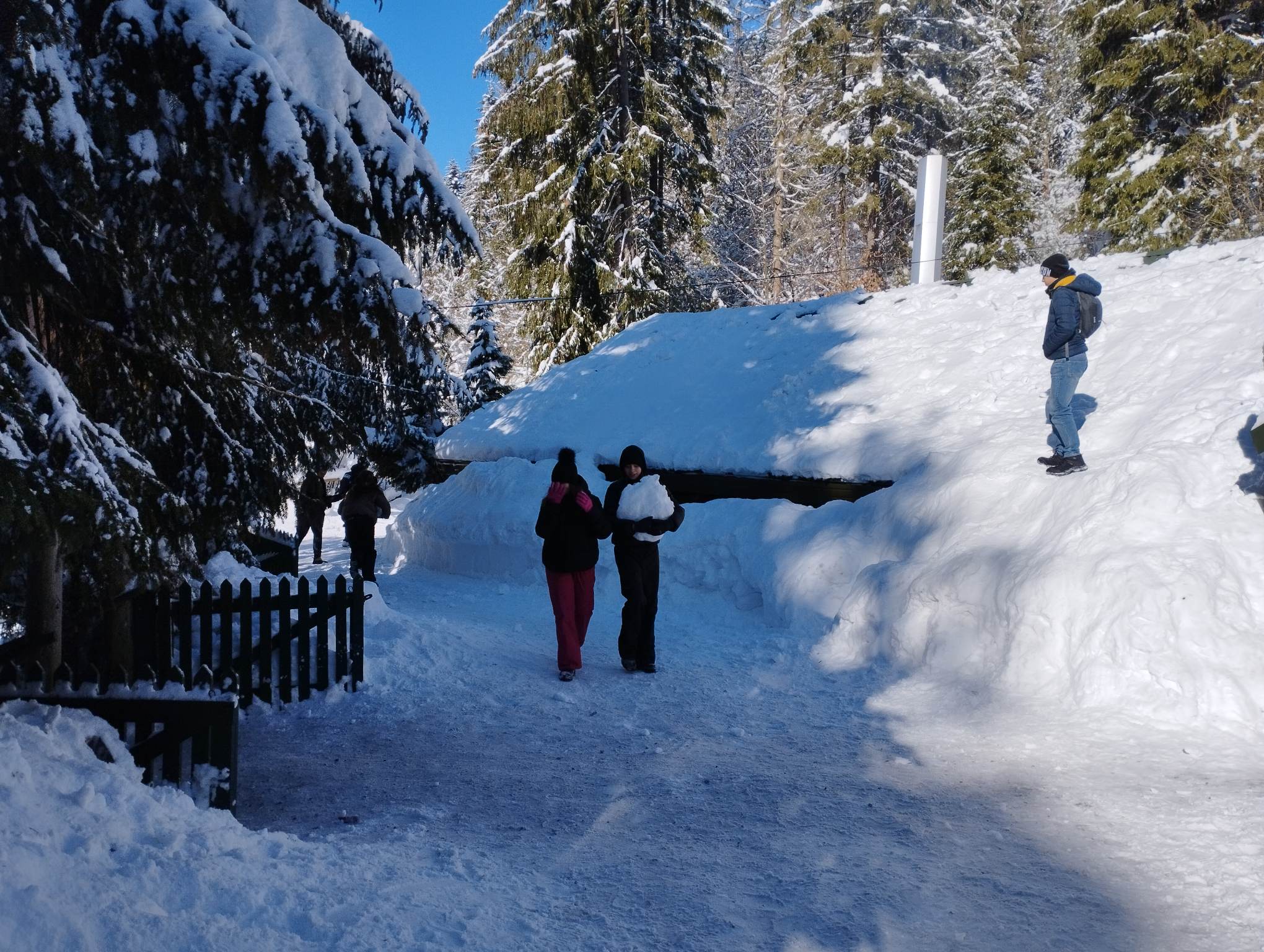 Zdjęcie przedstawia uczniów klasy ósmych podczas kuligu w Wiśle Czarne. 