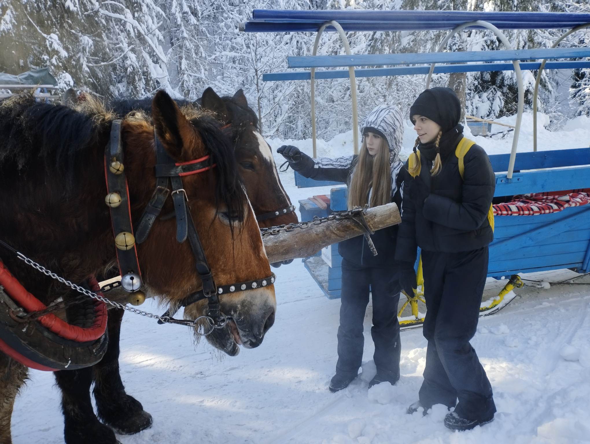Zdjęcie przedstawia uczniów klasy ósmych podczas kuligu w Wiśle Czarne. 