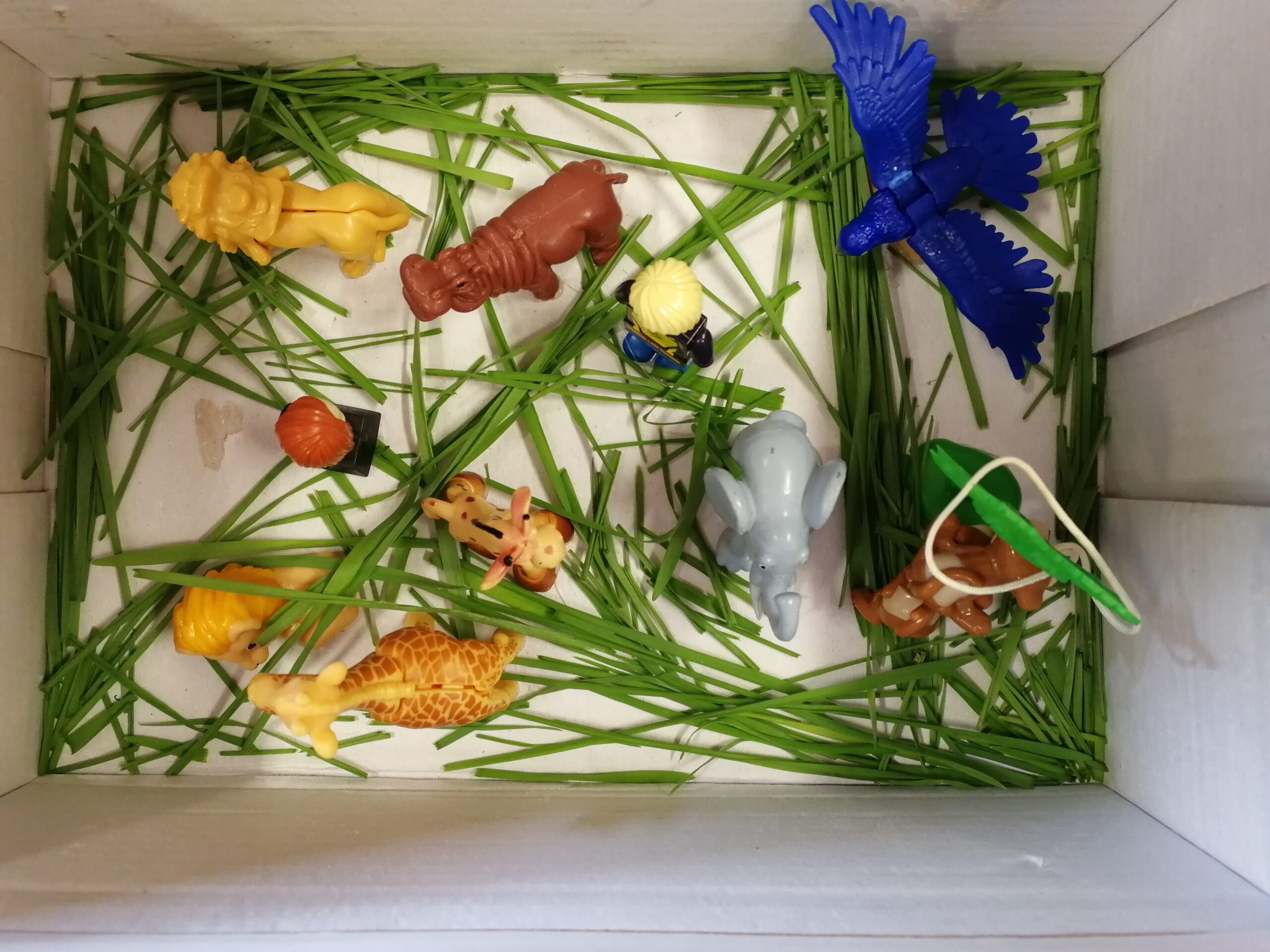 Lektura w pudełku- prace uczniów klasy 5b