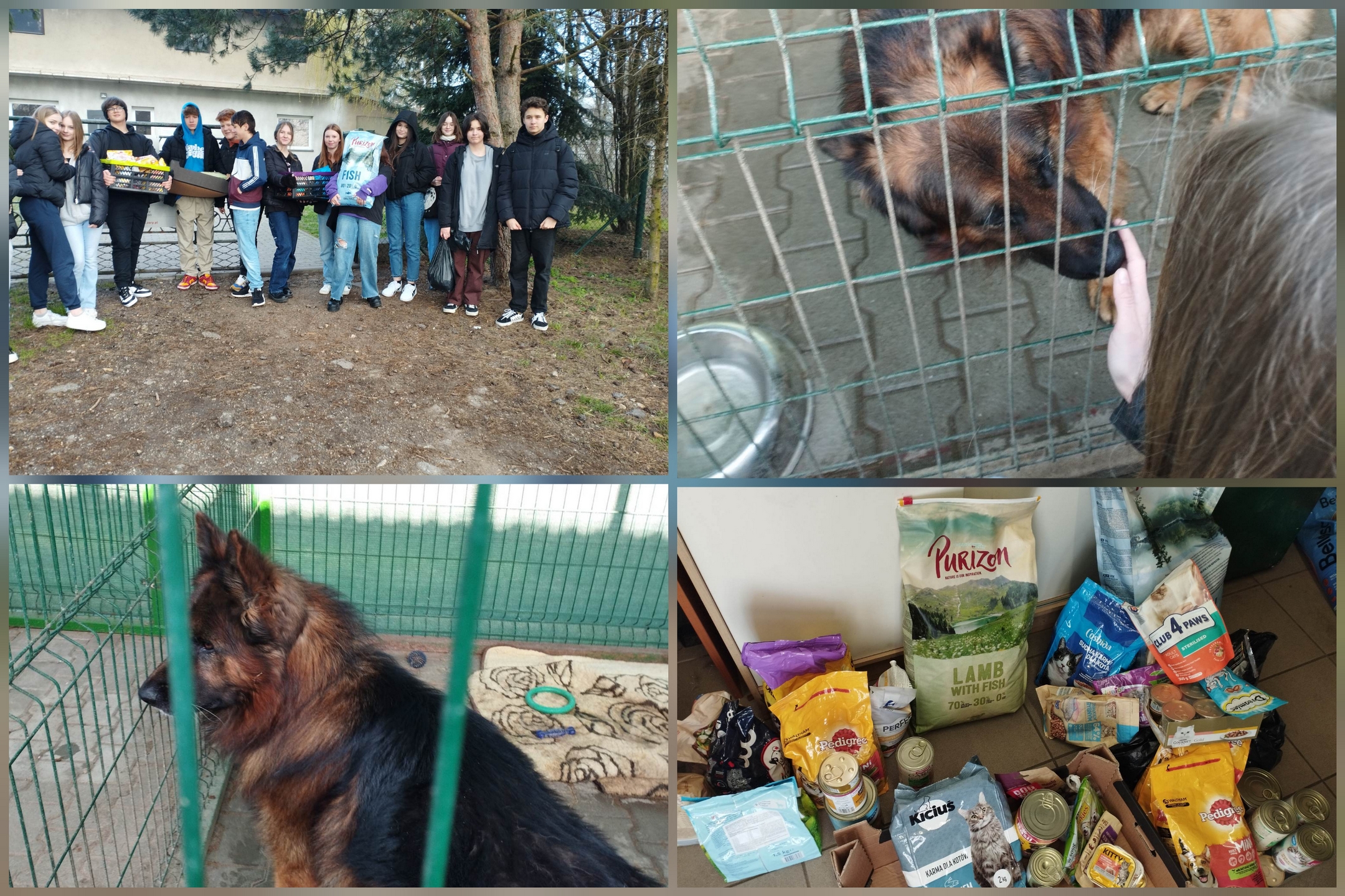 Szkolne Koło Wolontariatu podczas realizacji swojego projektu.