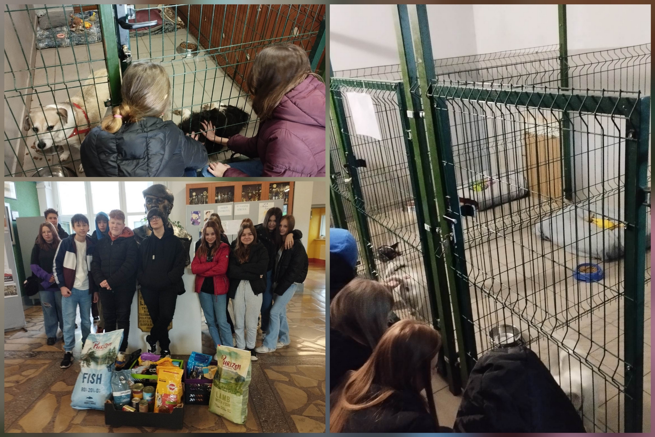 Szkolne Koło Wolontariatu podczas realizacji swojego projektu.