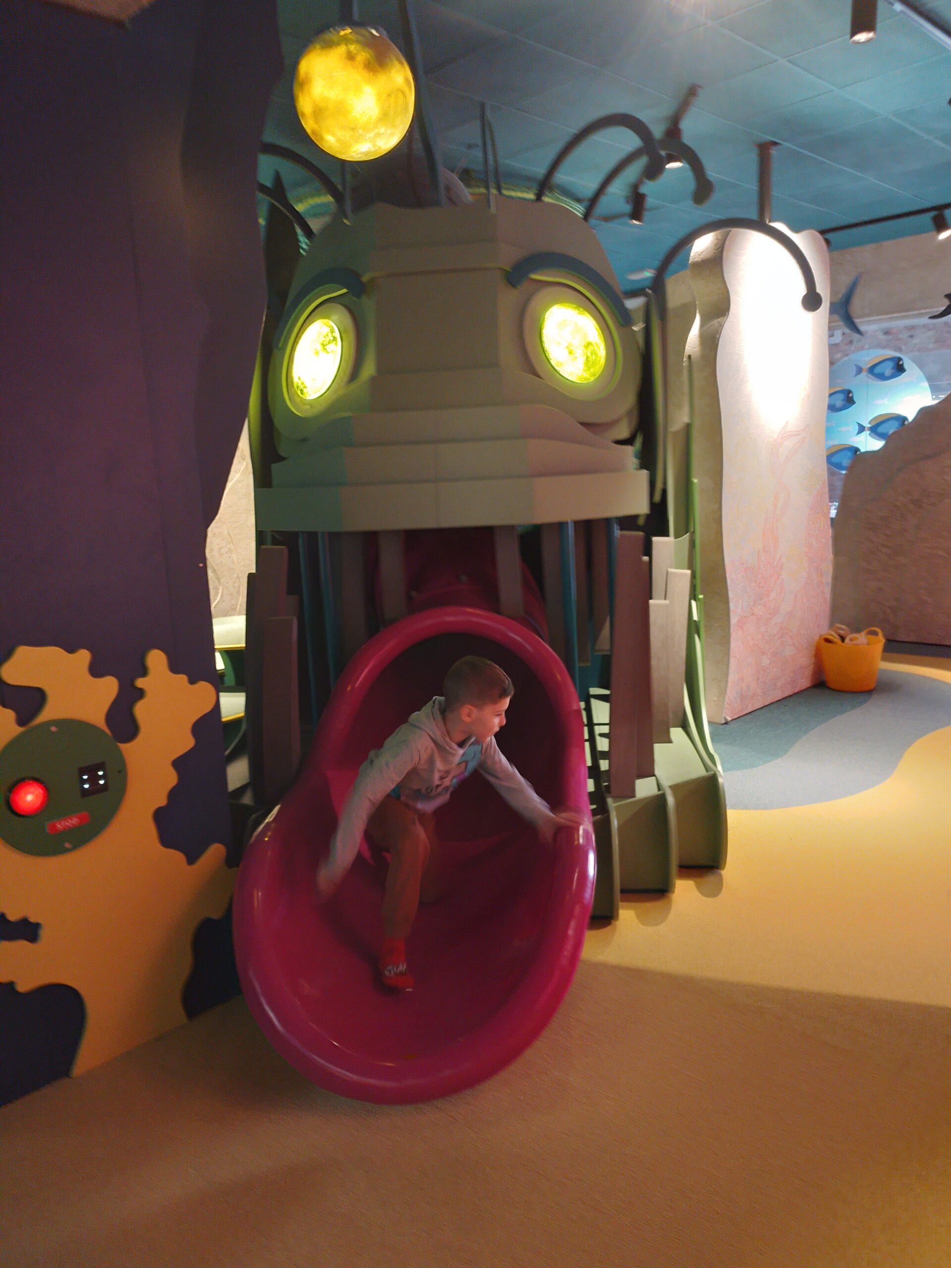 Z wizytą w Bajce Pana Kleksa