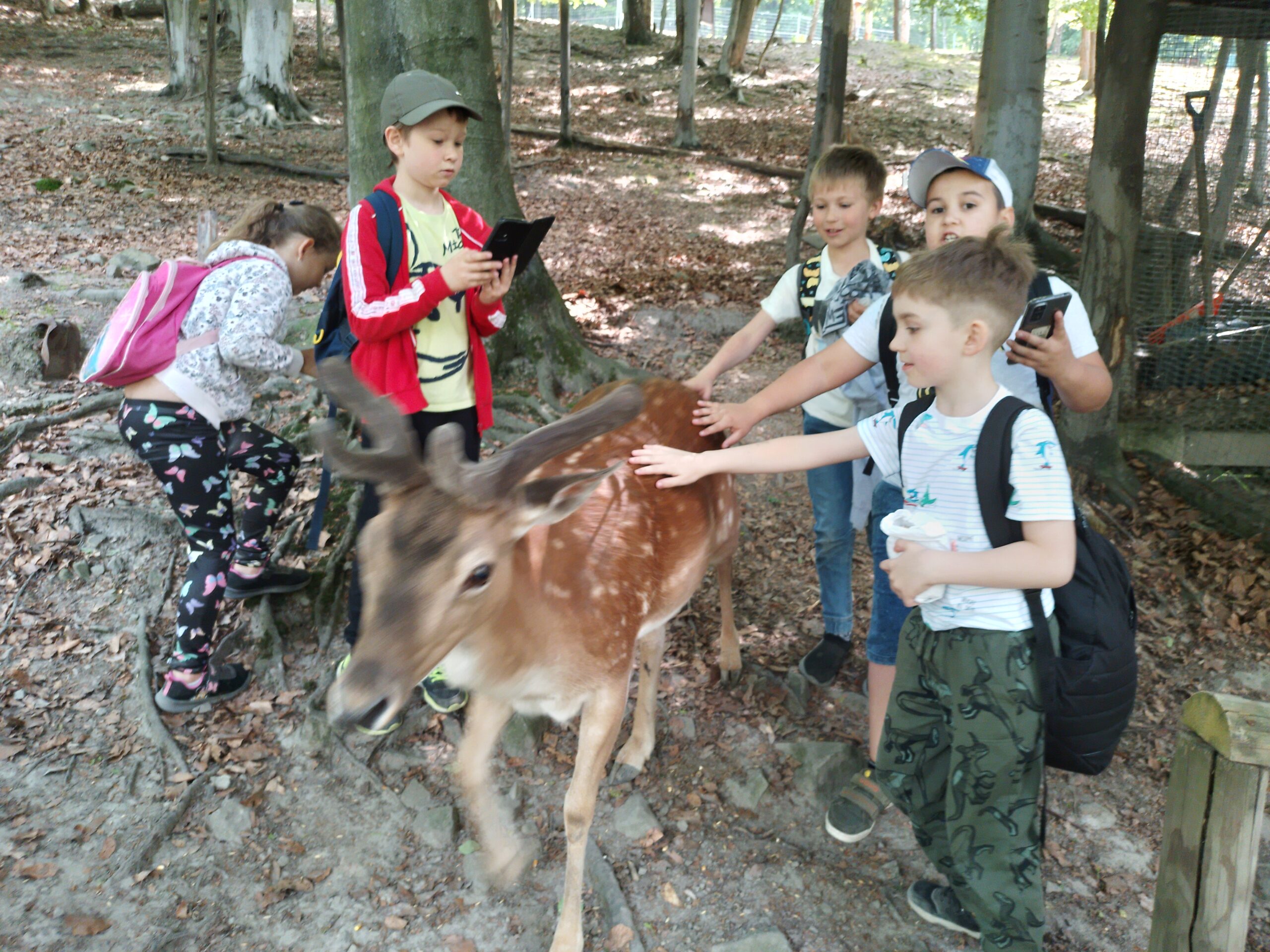 Leśny Park Niespodzianek w Ustroniu
