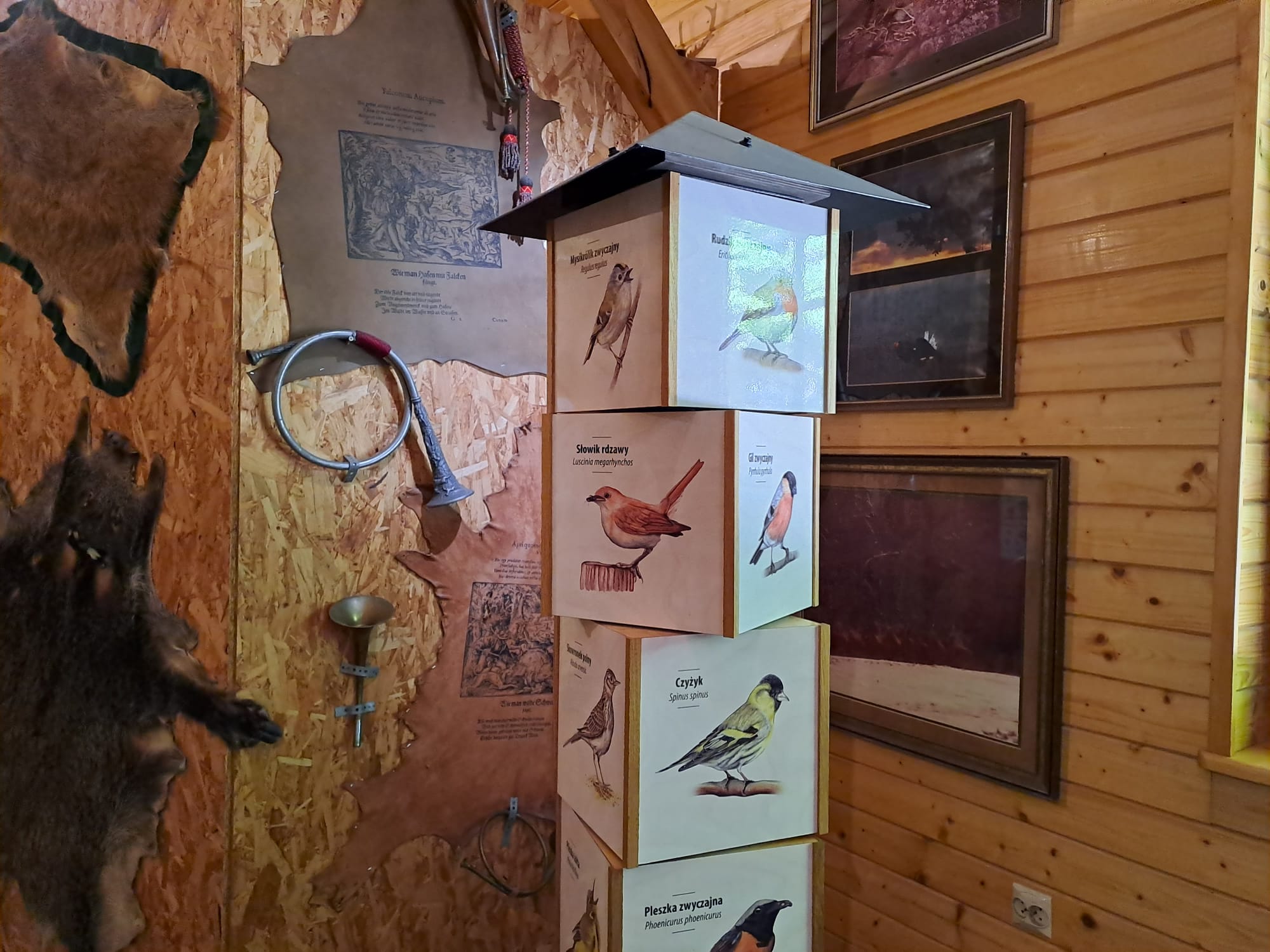 Leśny Park Niespodzianek w Ustroniu