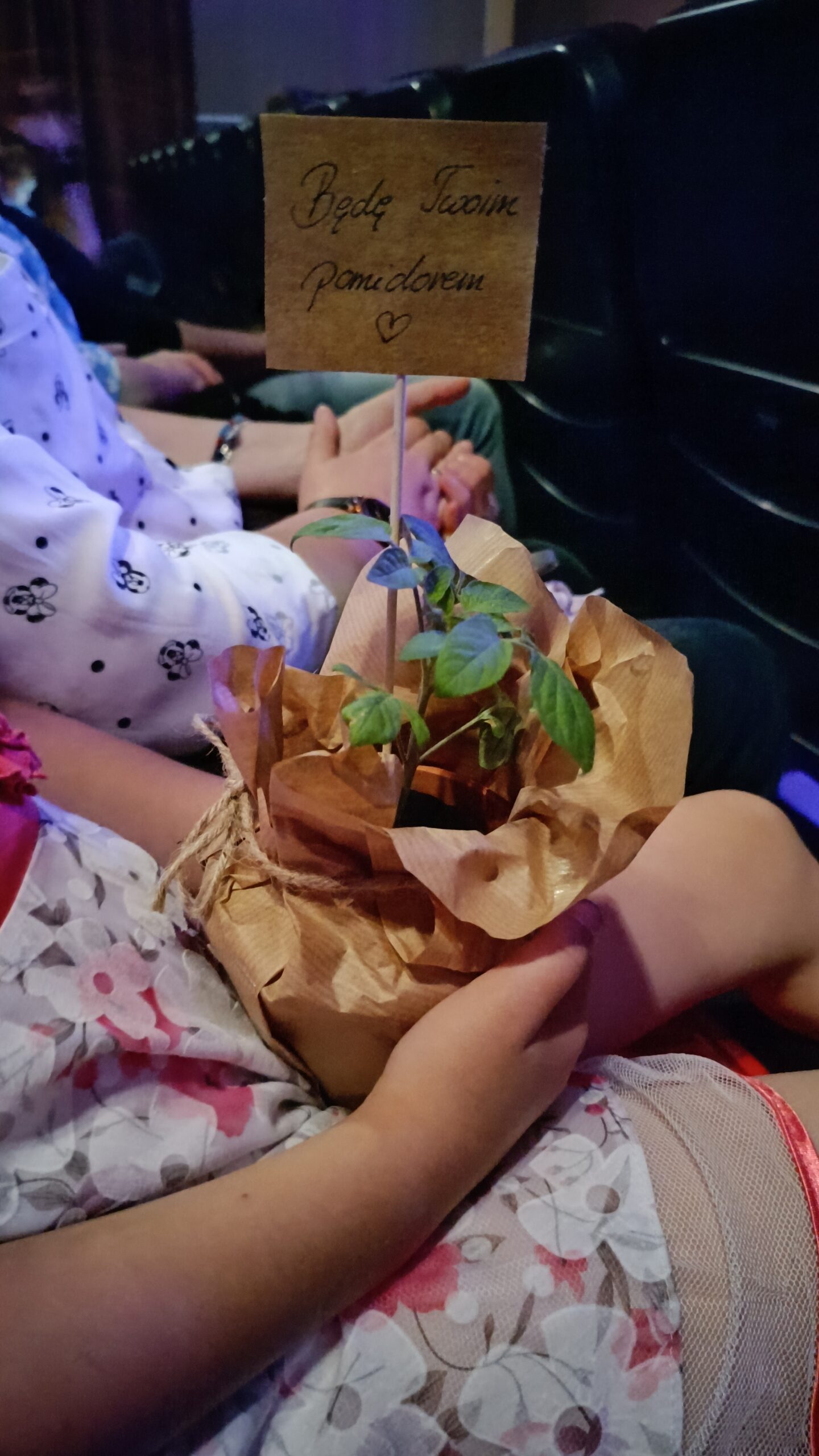 Wielka Gala SP17 w kinie „Scena na Starówce”.