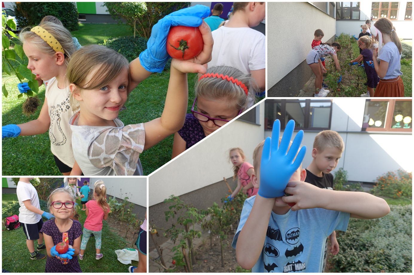 Ogrodniczki i ogrodnicy z 2B