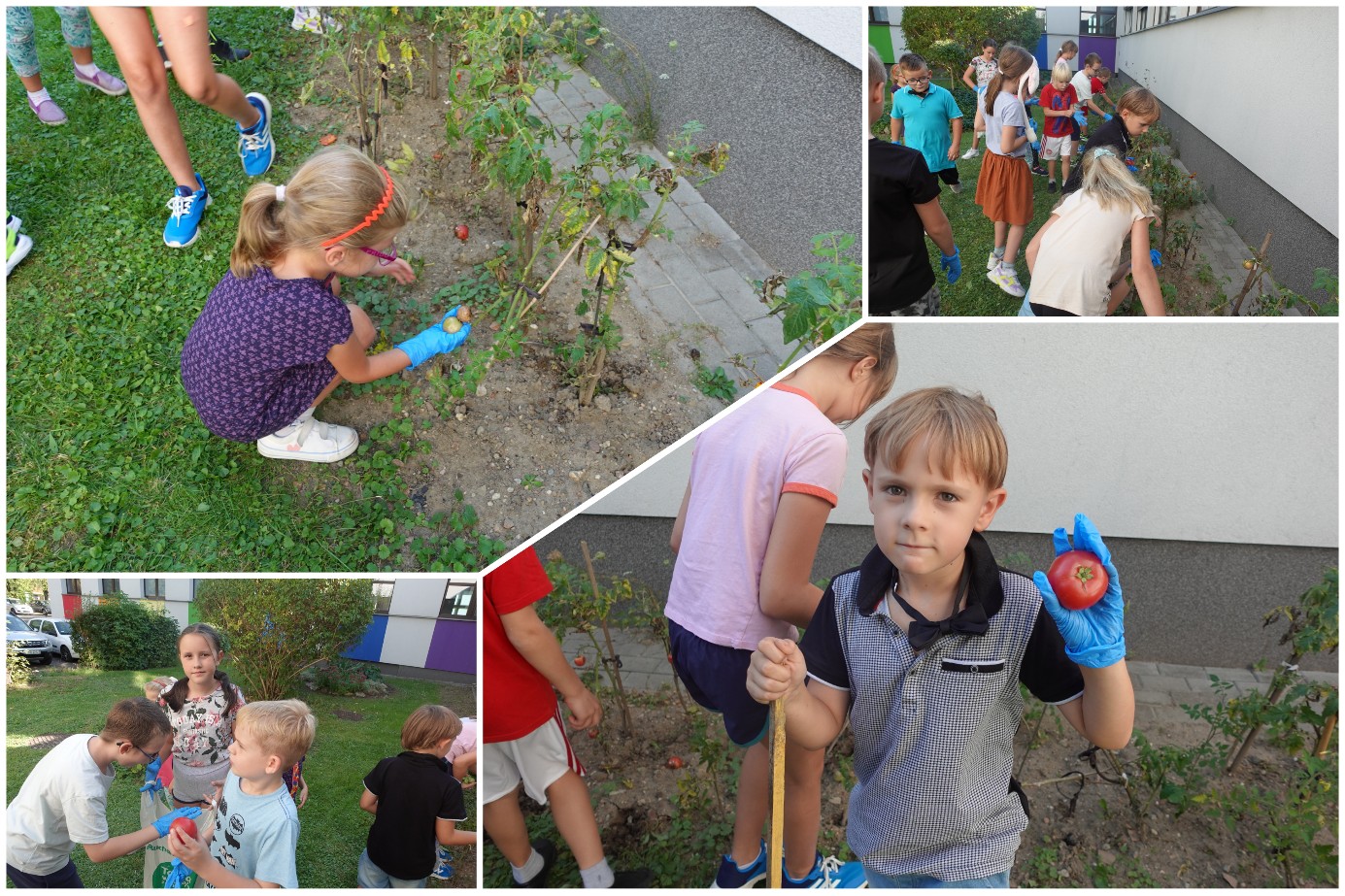 Ogrodniczki i ogrodnicy z 2B