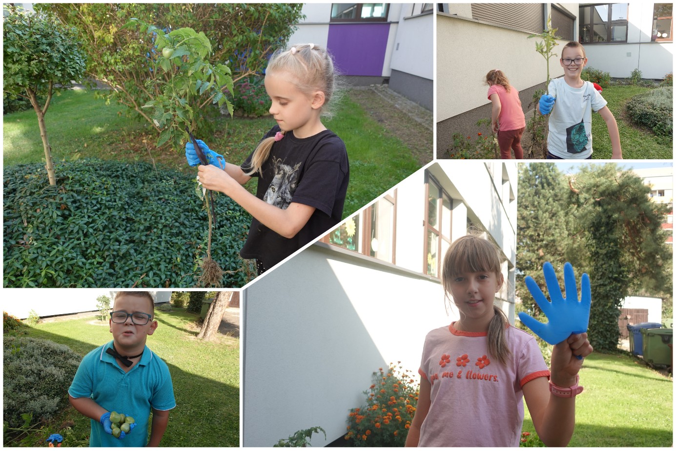 Ogrodniczki i ogrodnicy z 2B