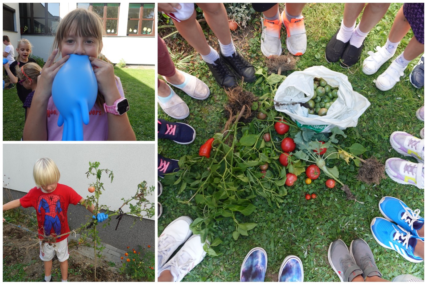 Ogrodniczki i ogrodnicy z 2B