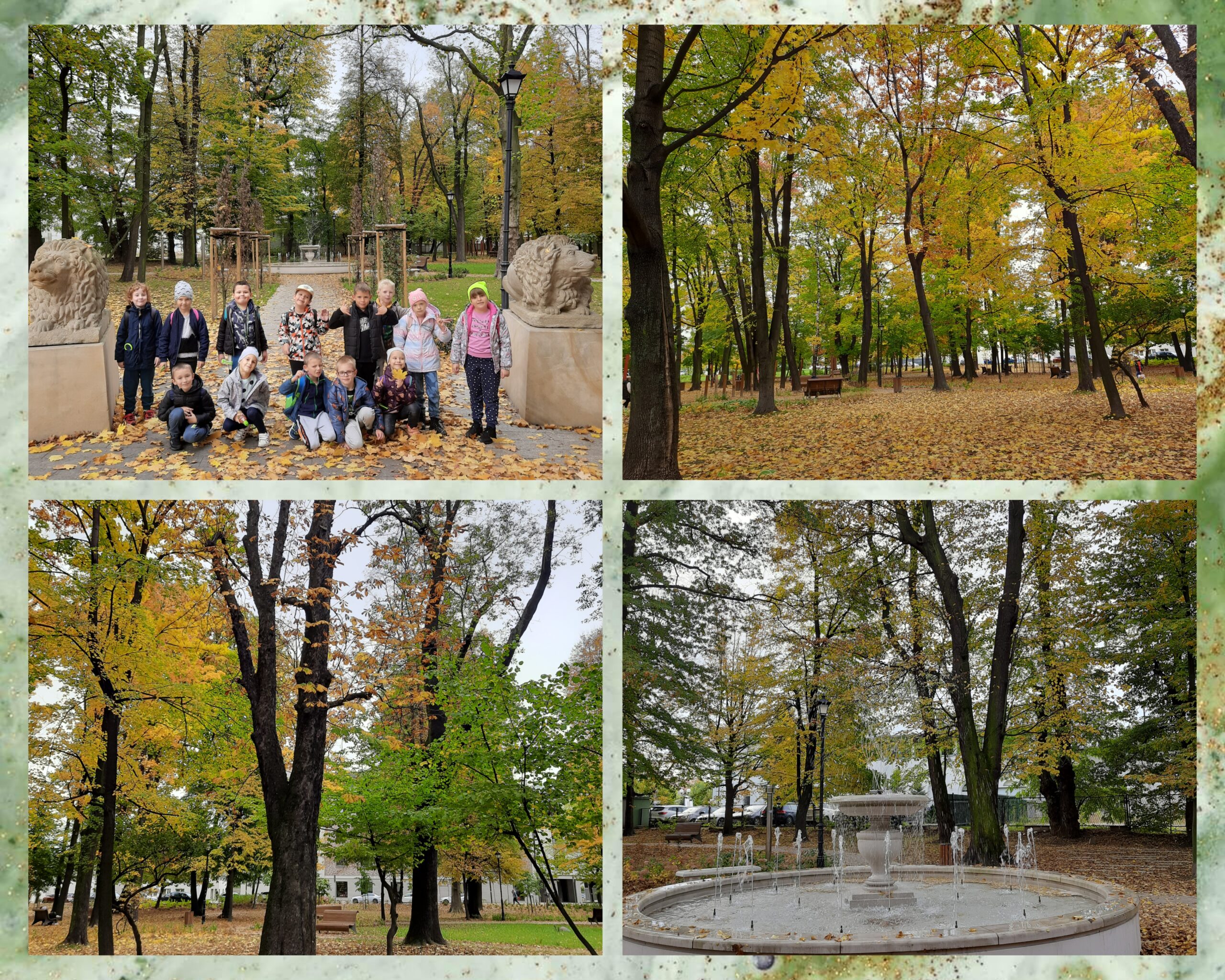 TROPICIELE PRZYRODY Z KLASY 1B