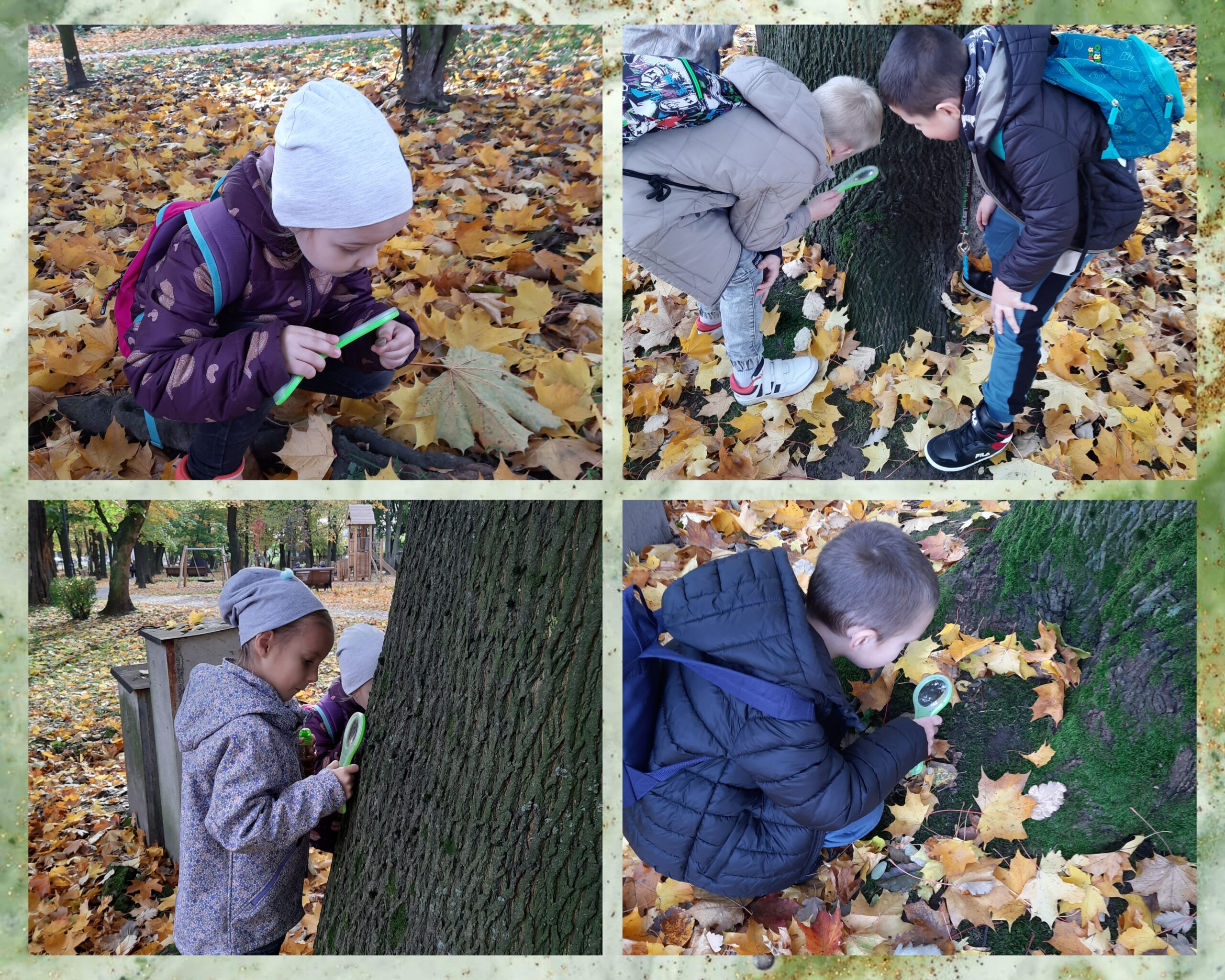 TROPICIELE PRZYRODY Z KLASY 1B