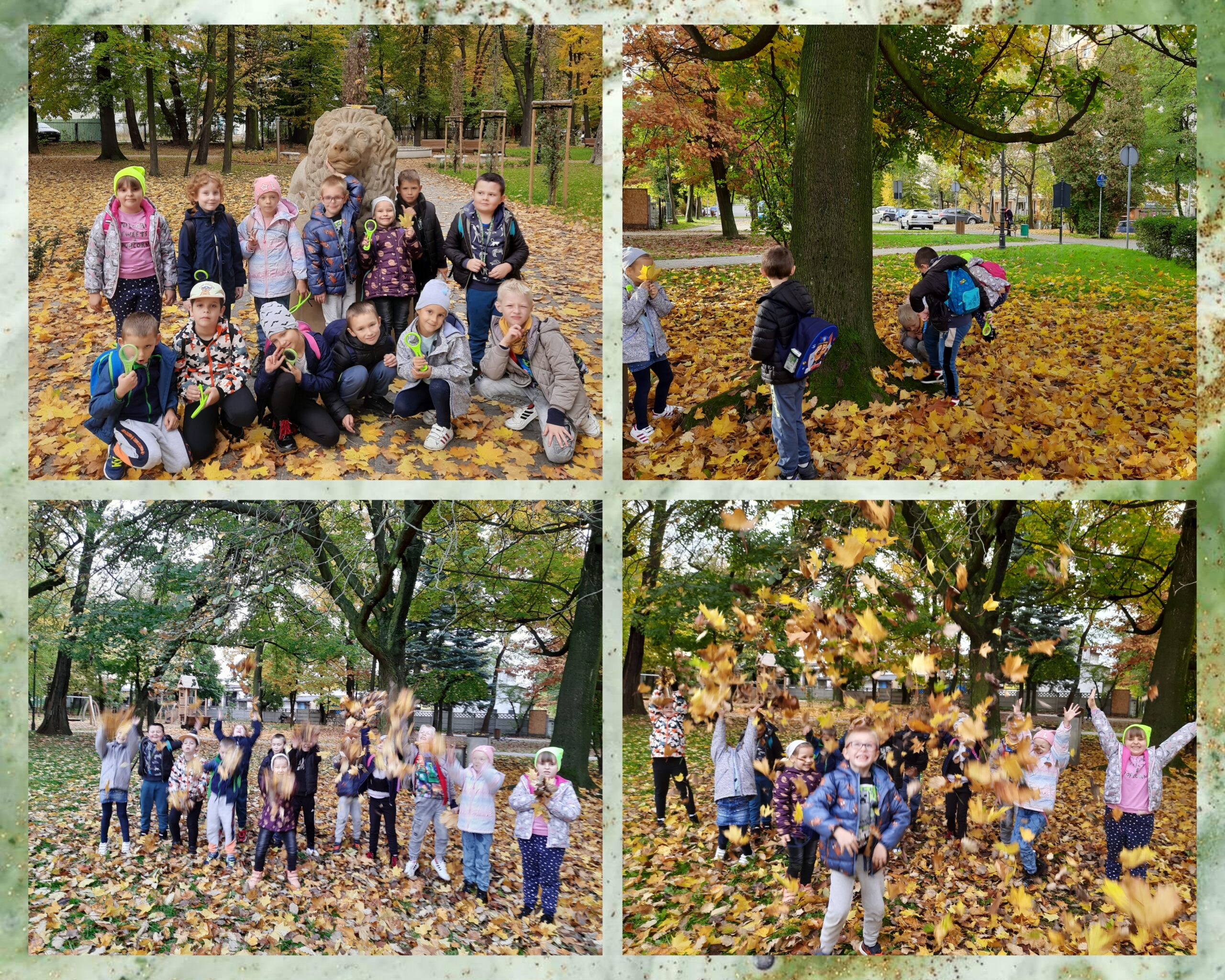 TROPICIELE PRZYRODY Z KLASY 1B