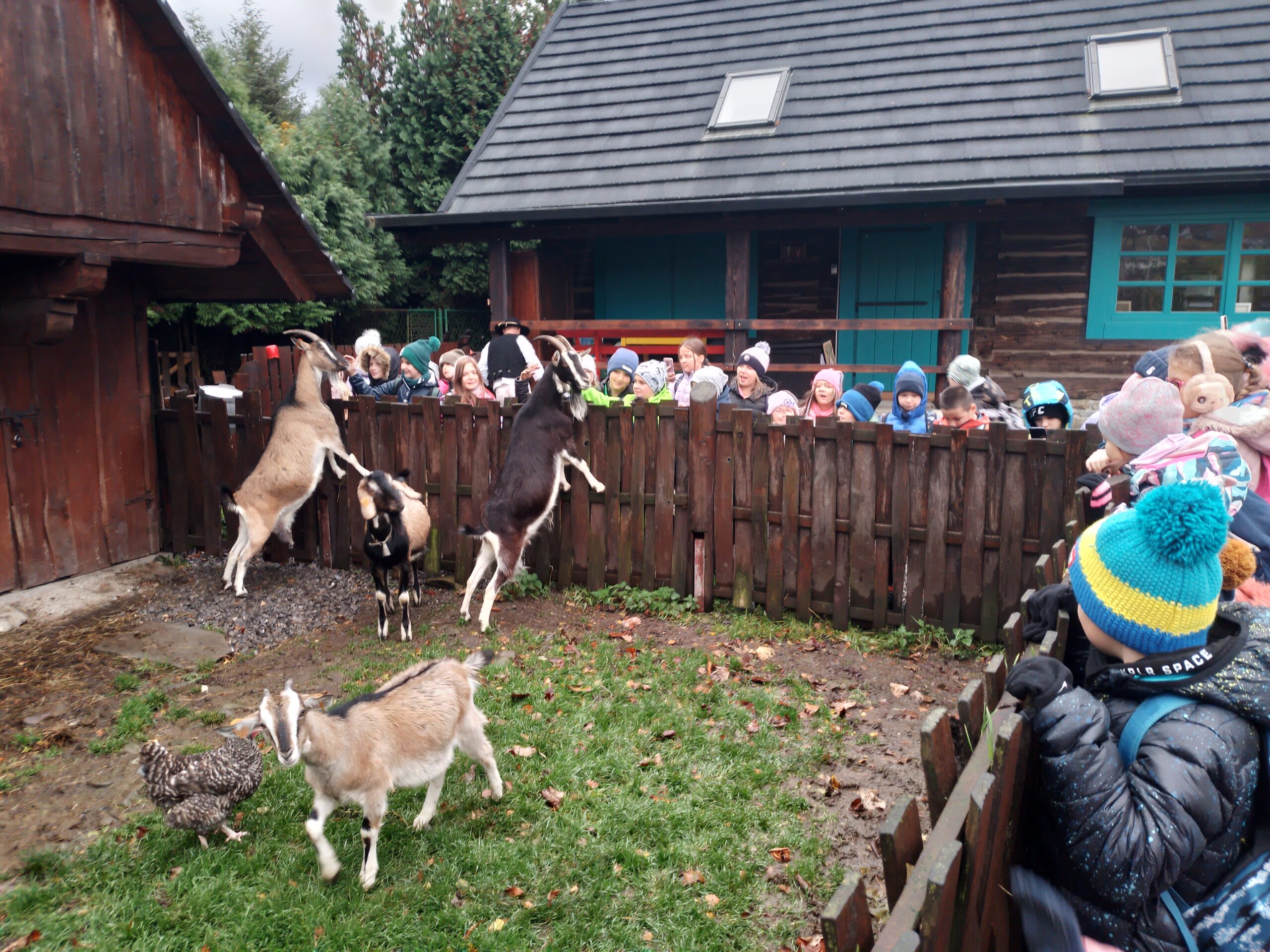 Wycieczka klasy 2a i 3b do Koziej Zagrody