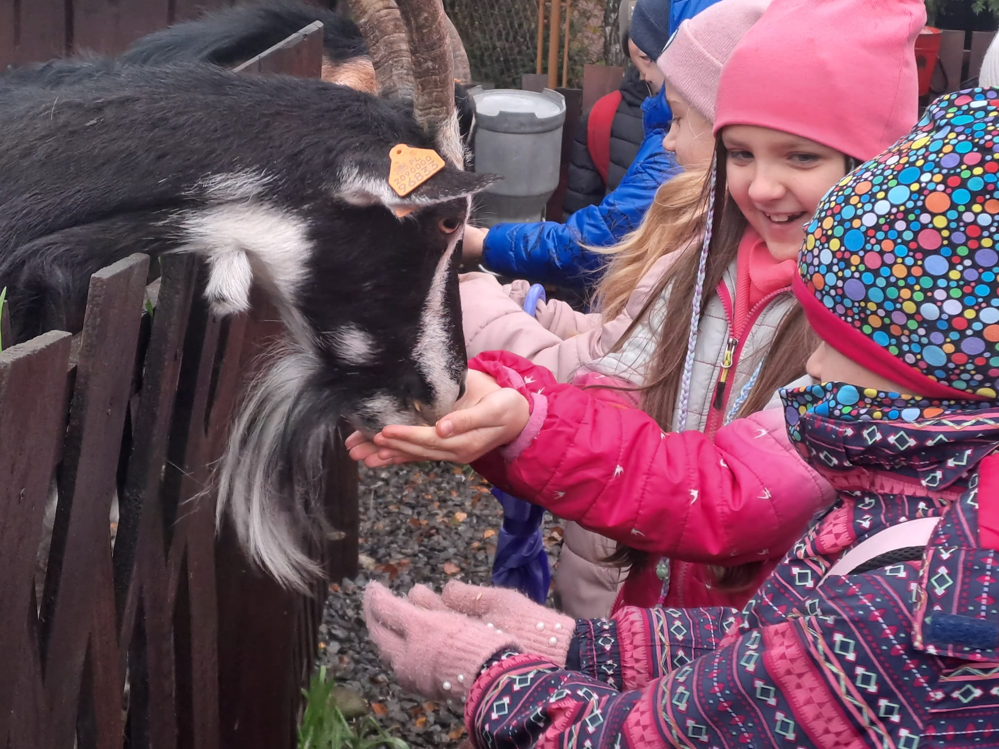 Wycieczka klasy 2a i 3b do Koziej Zagrody