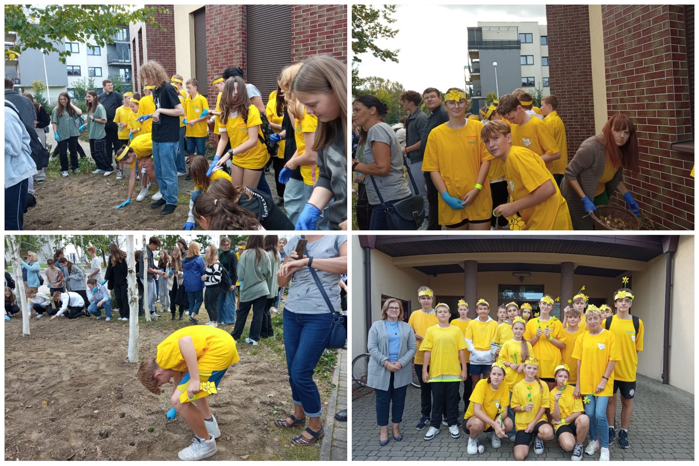 Społeczność SP17 i akcja Pola Nadziei.