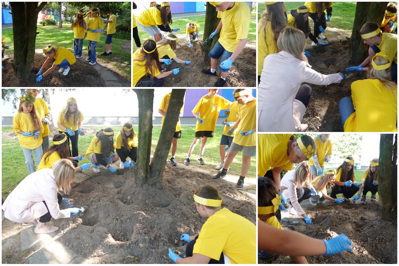 Społeczność SP17 i akcja Pola Nadziei.