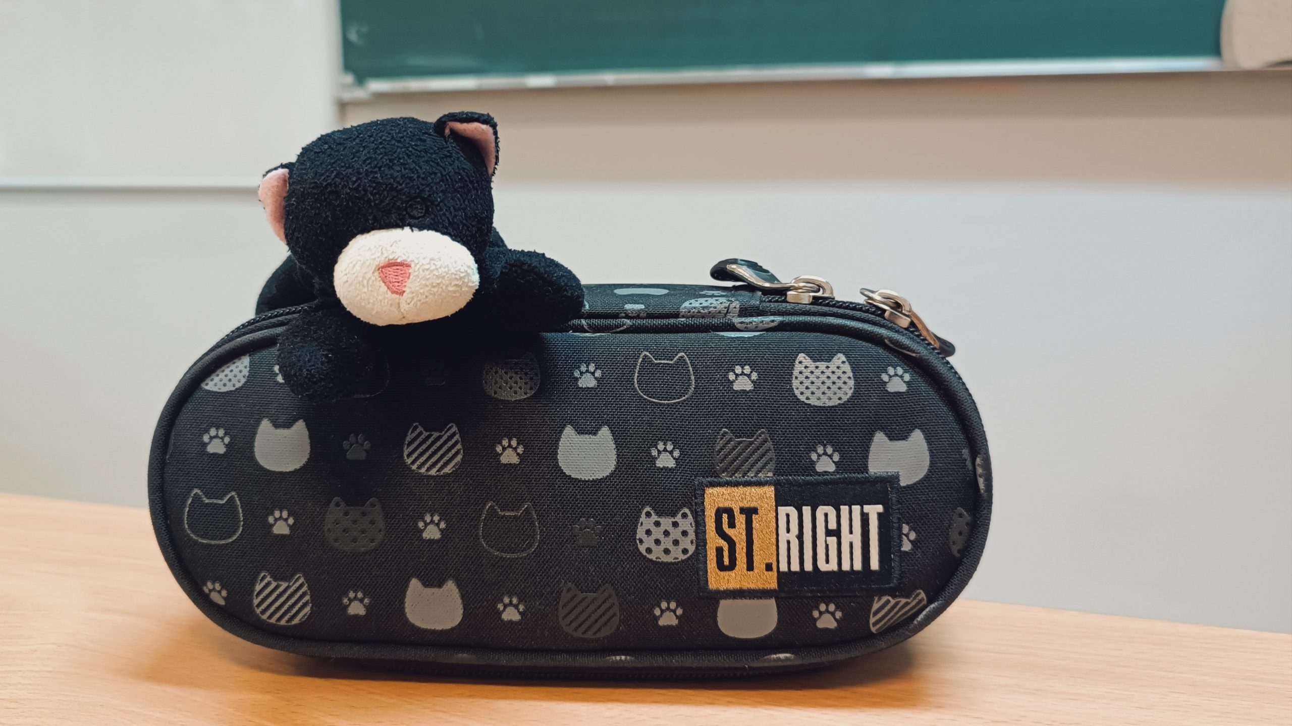 Społeczność SP17 w Dzień Czarnego Kota.