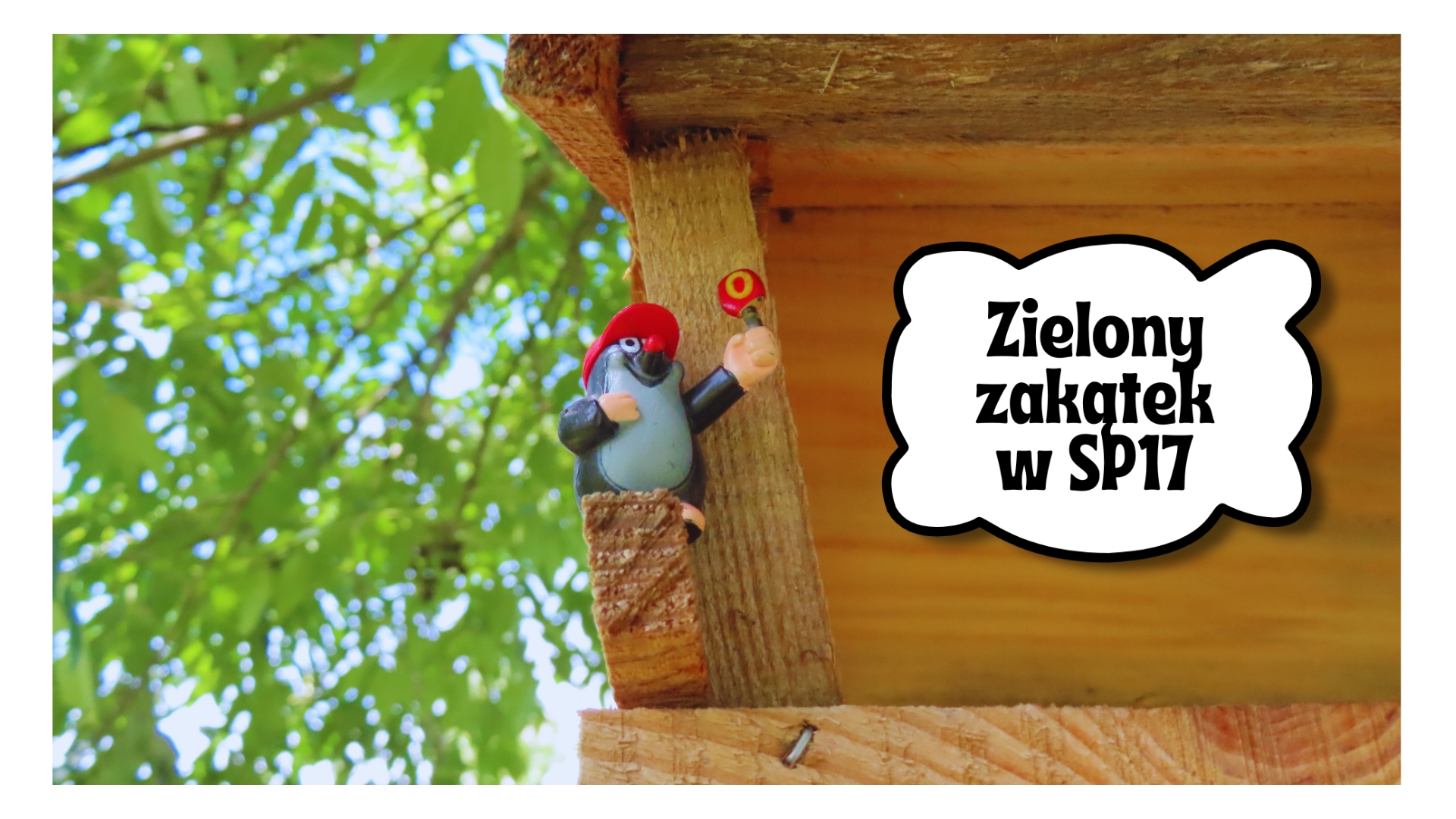 Zielony zakątek przy SP17.