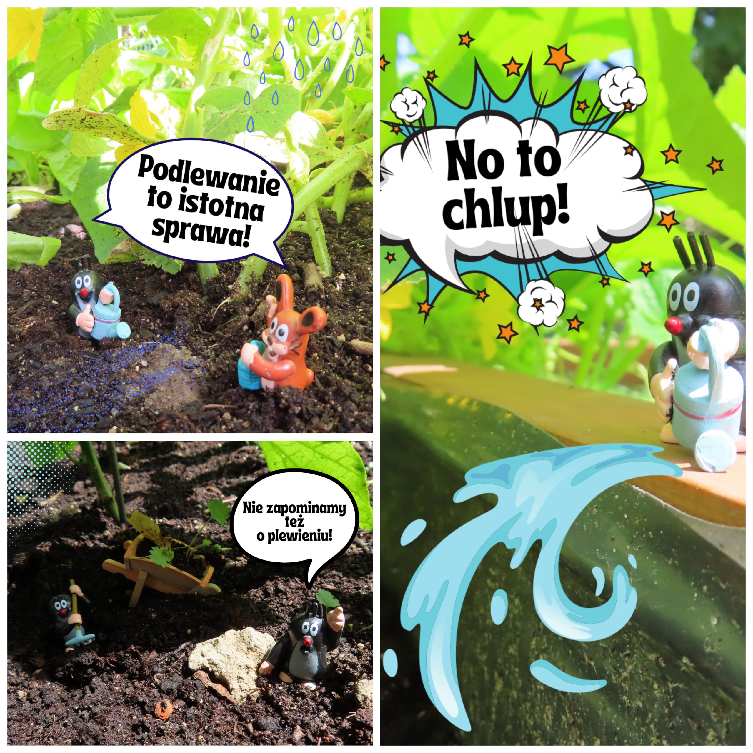 Zielony zakątek przy SP17.