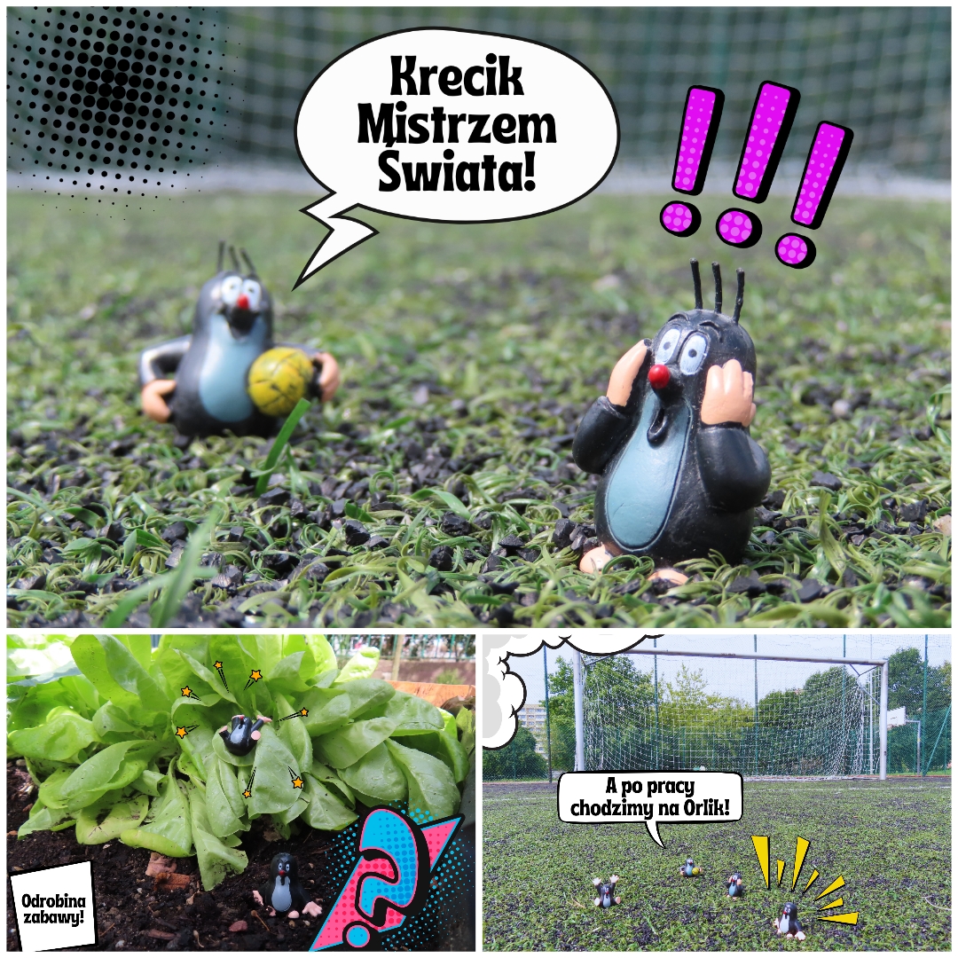 Zielony zakątek przy SP17.