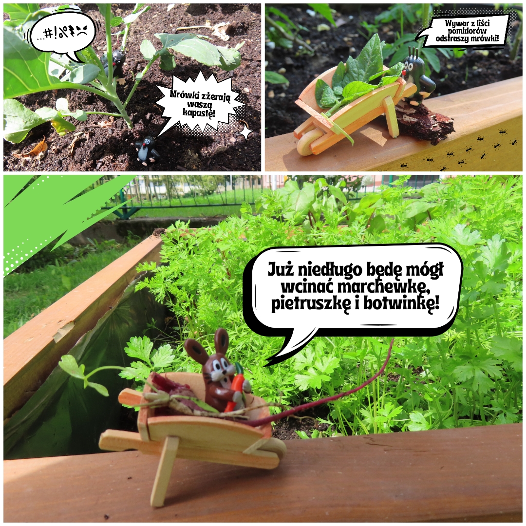 Zielony zakątek przy SP17.