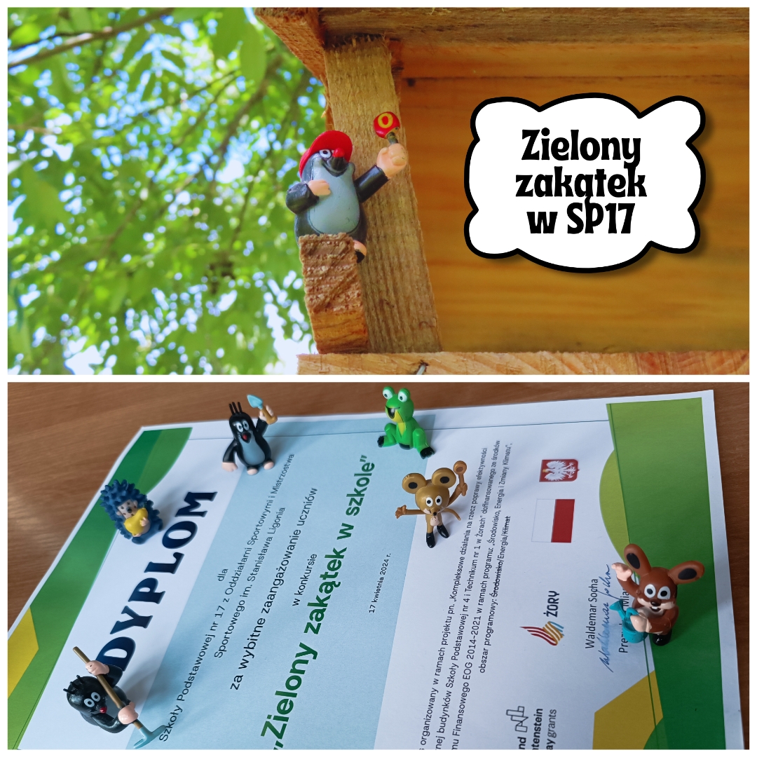 Zielony zakątek przy SP17.