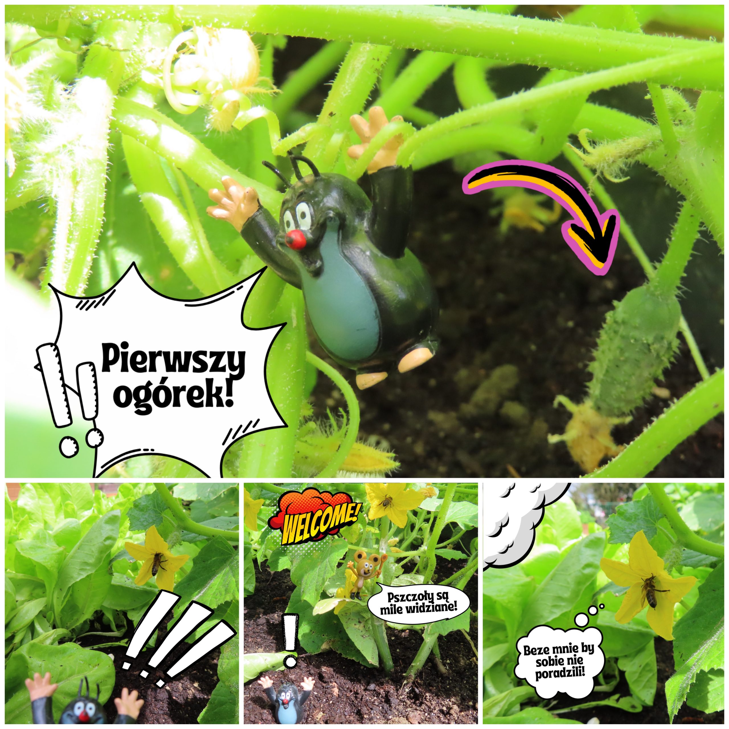 Zielony zakątek przy SP17.