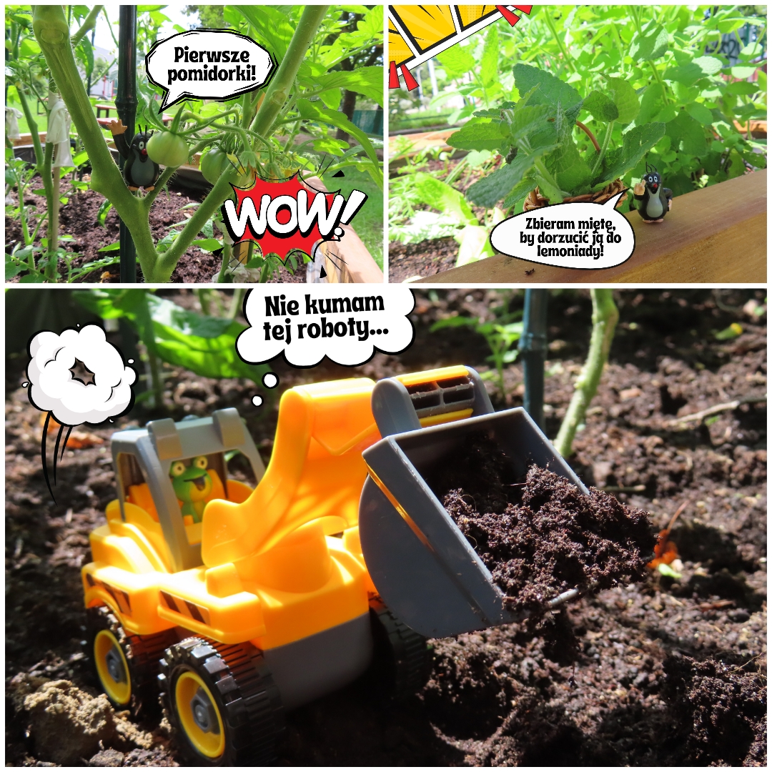 Zielony zakątek przy SP17.