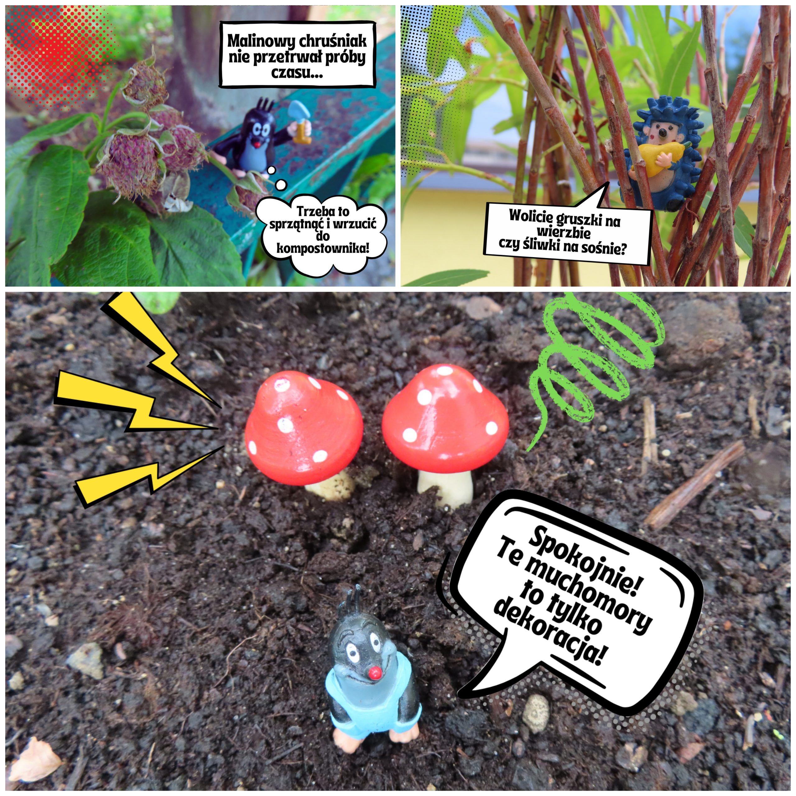 Zielony zakątek przy SP17.