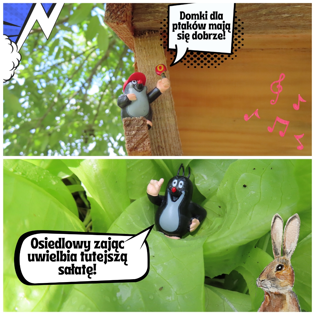 Zielony zakątek przy SP17.