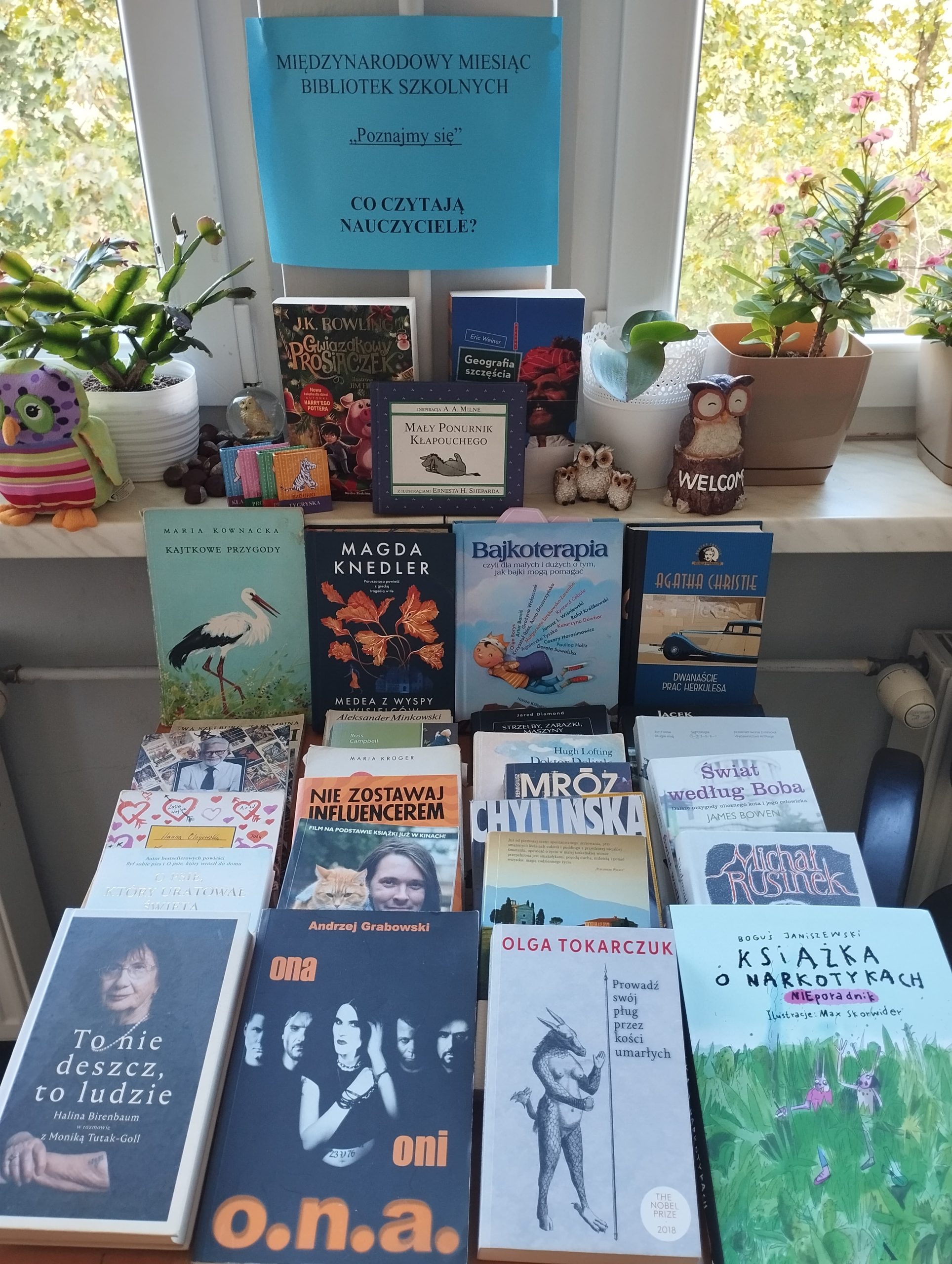 Wystawa książek w szkolnej bibliotece.