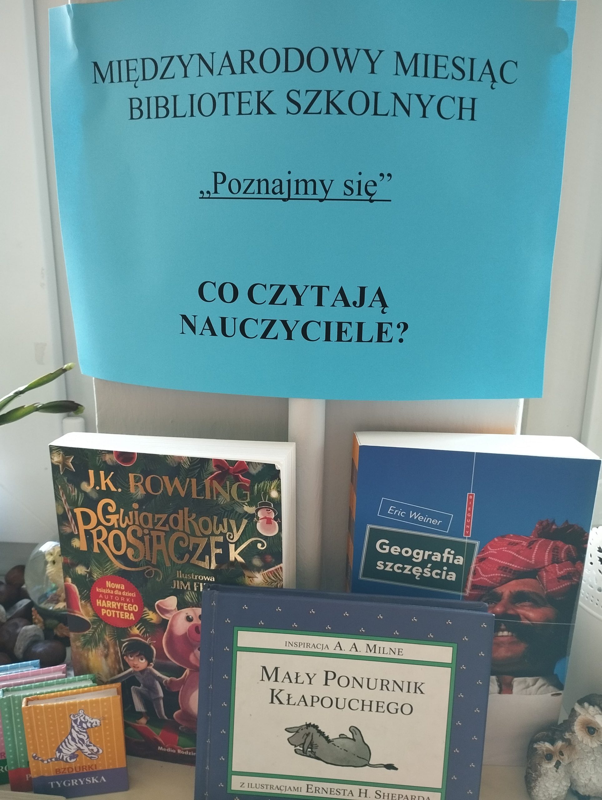 Wystawa książek w szkolnej bibliotece.