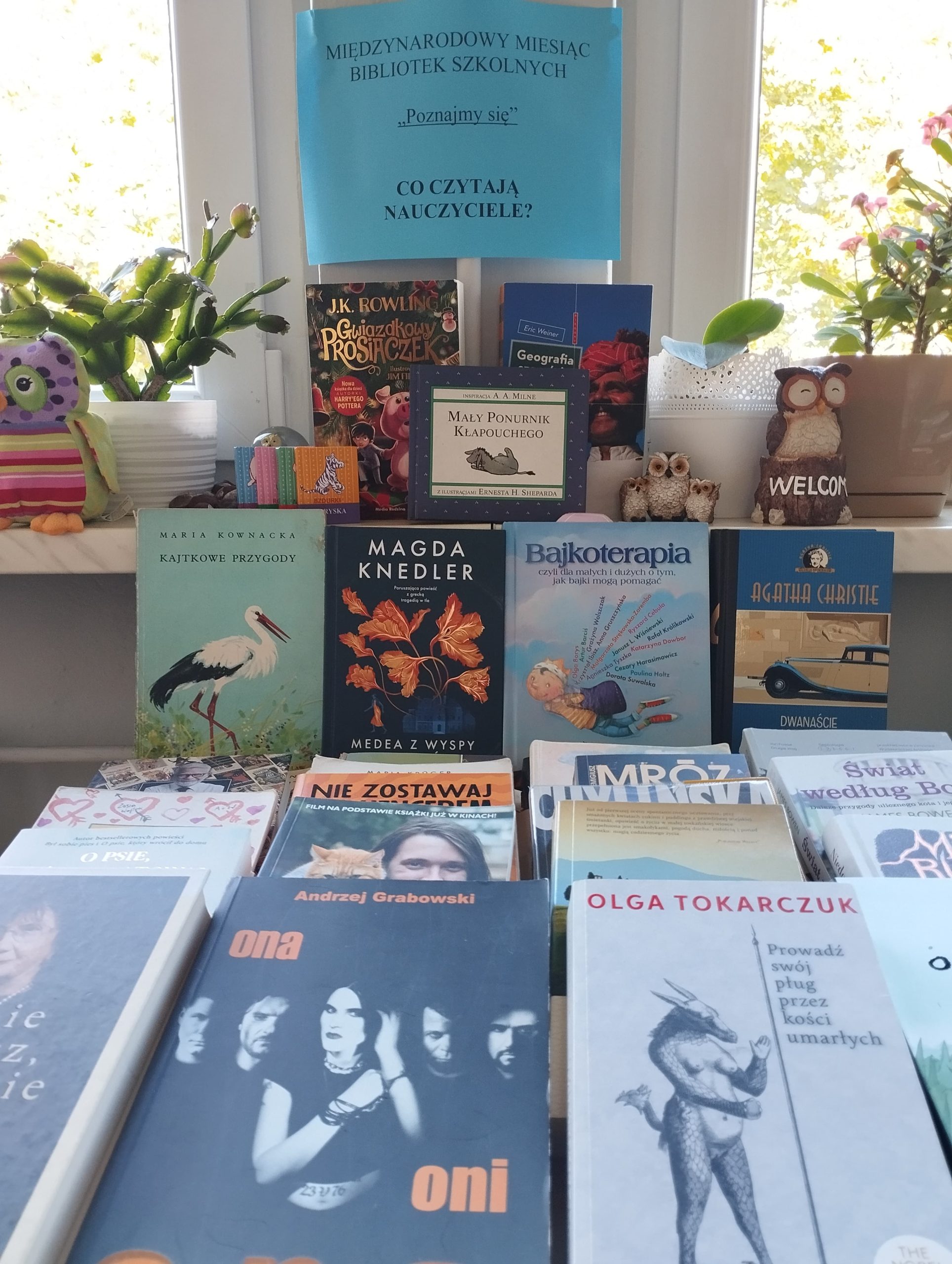 Wystawa książek w szkolnej bibliotece.