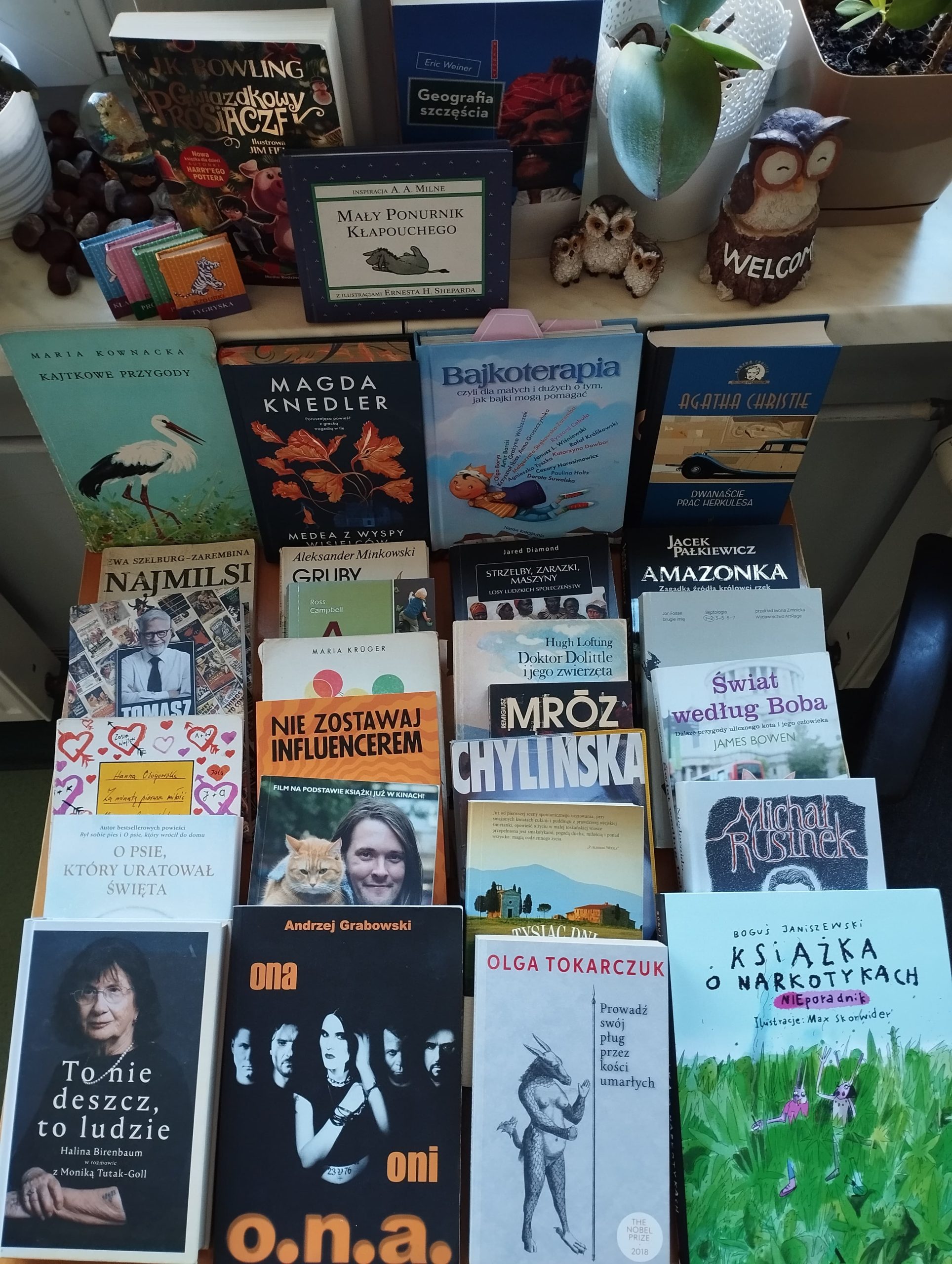 Wystawa książek w szkolnej bibliotece.