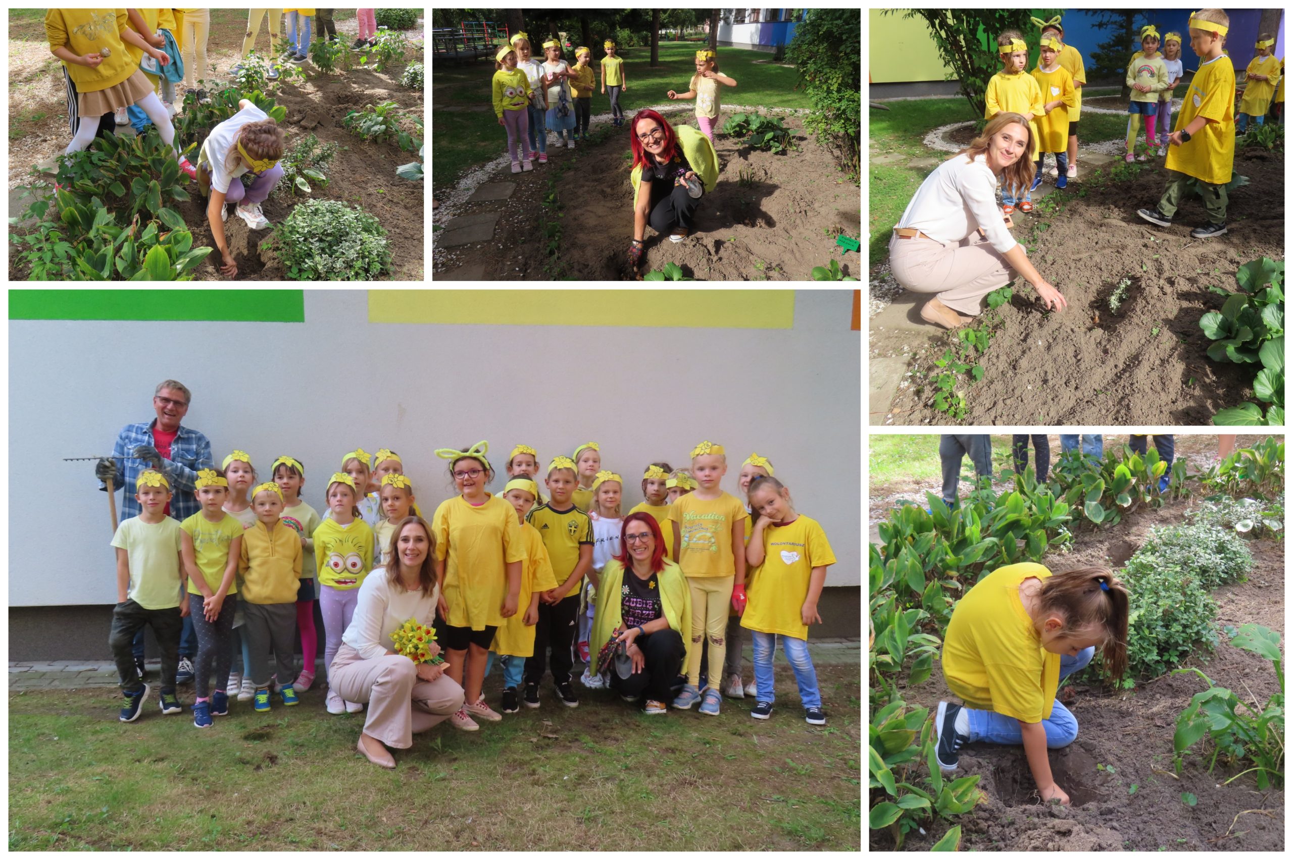 Uczniowie i uczennice Siedemnastki sądzą żonkile.