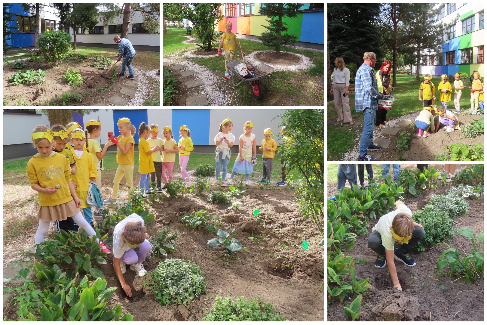 Uczniowie i uczennice Siedemnastki sądzą żonkile.