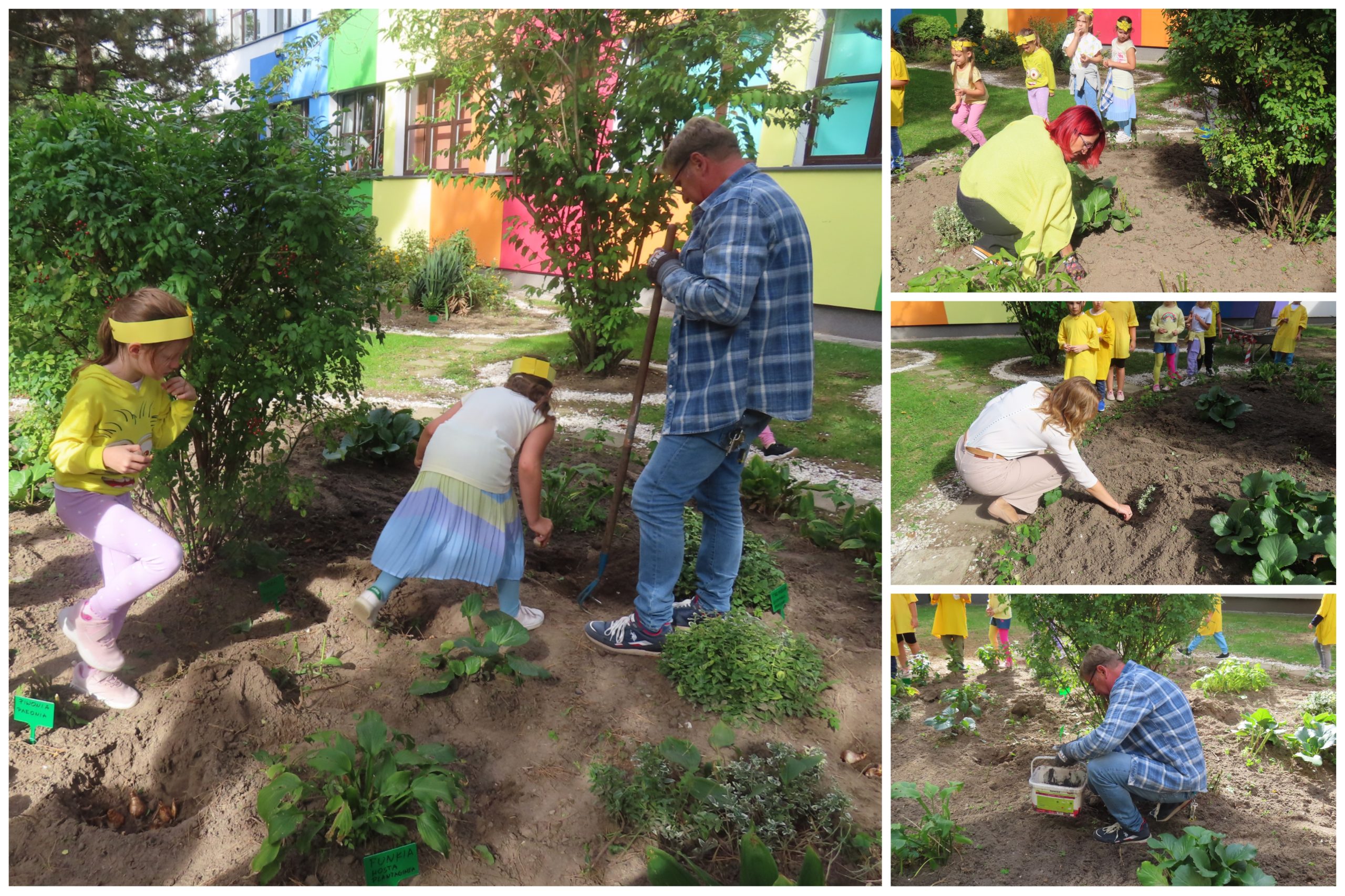 Uczniowie i uczennice Siedemnastki sądzą żonkile.