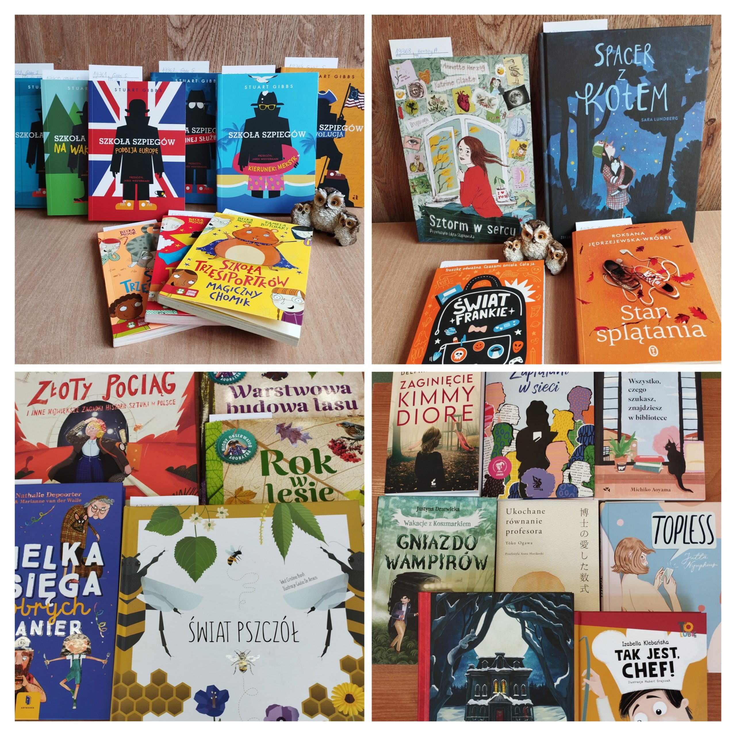 Nowości w bibliotece szkolnej.