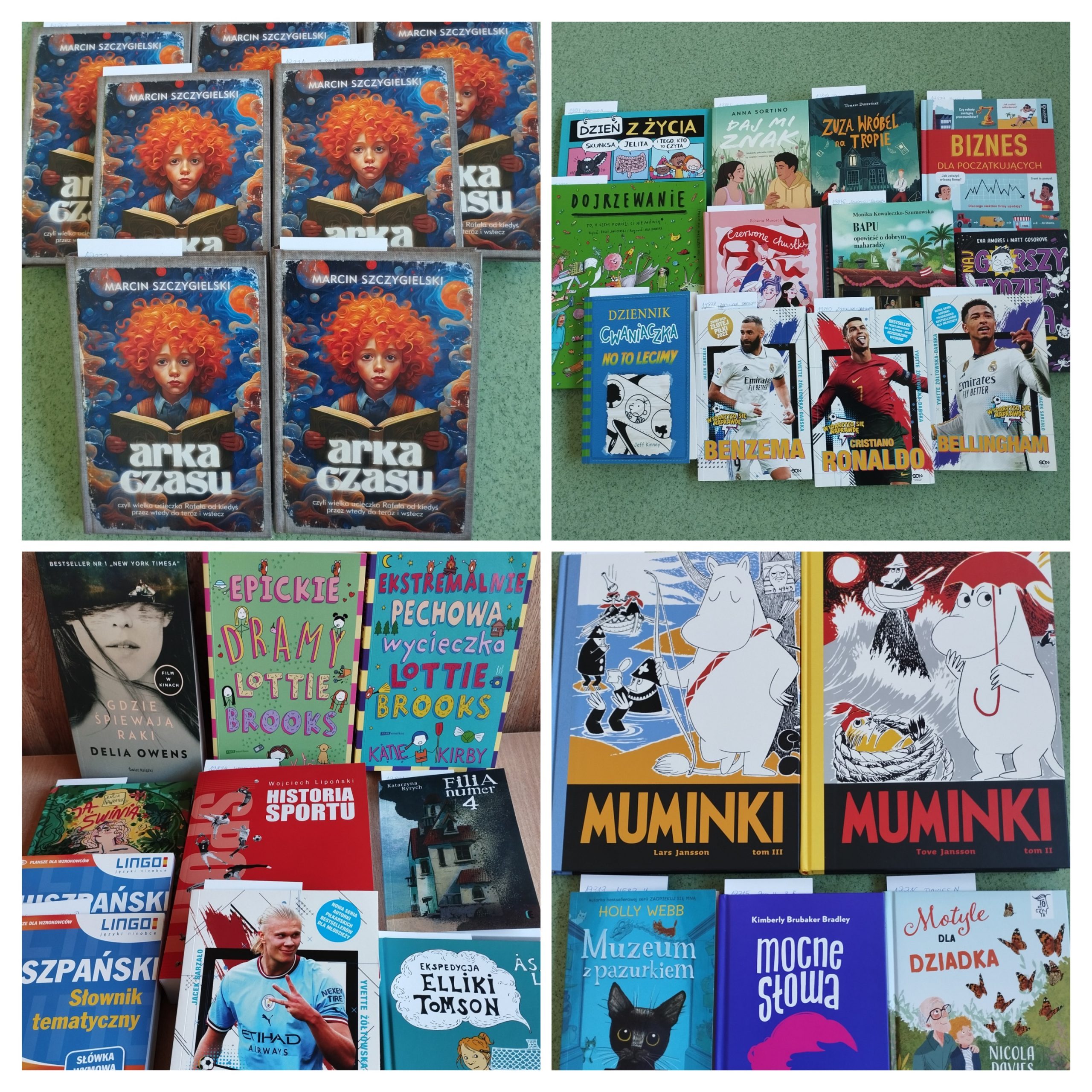 Nowości w bibliotece szkolnej.