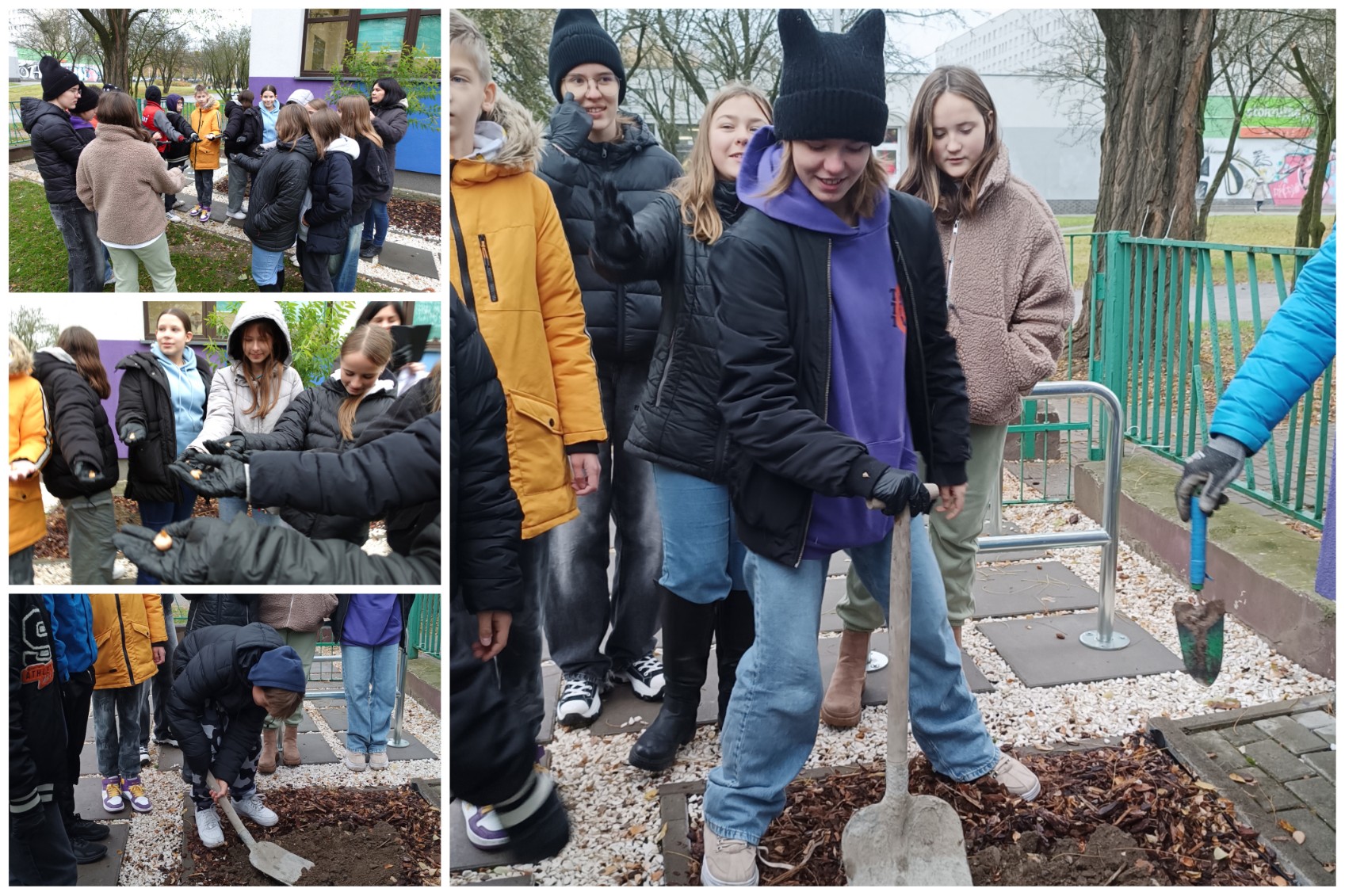 Realizacja projektu „Krokus” w naszej szkole.