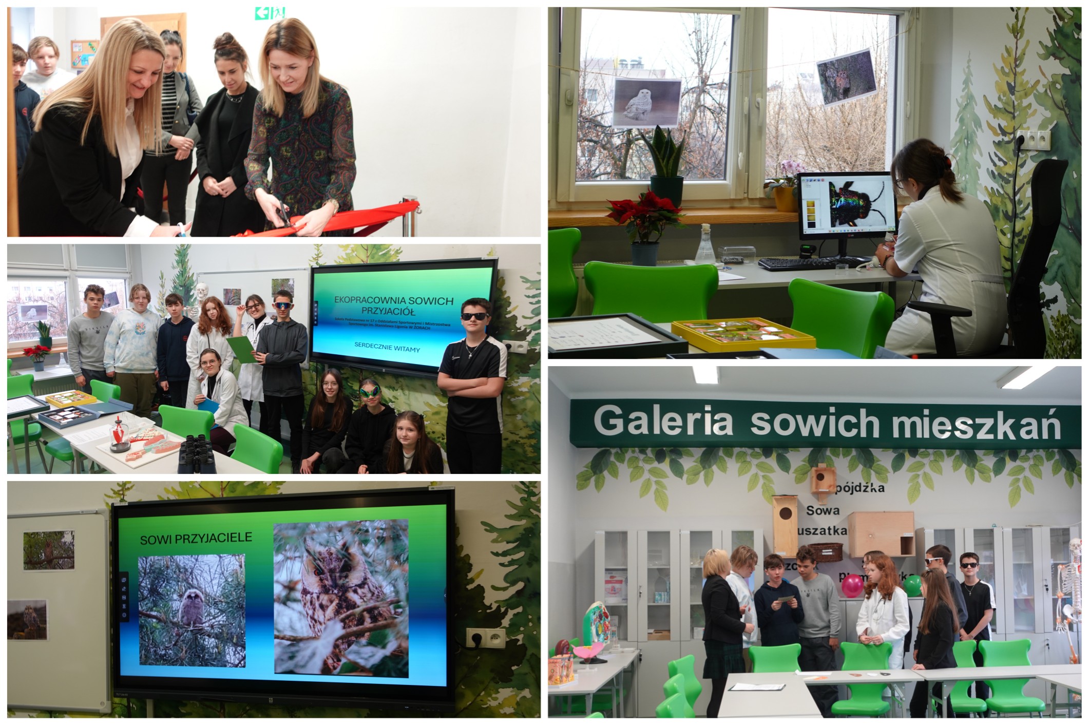 EKOpracownia Sowich Przyjaciół oficjalnie otwarta!