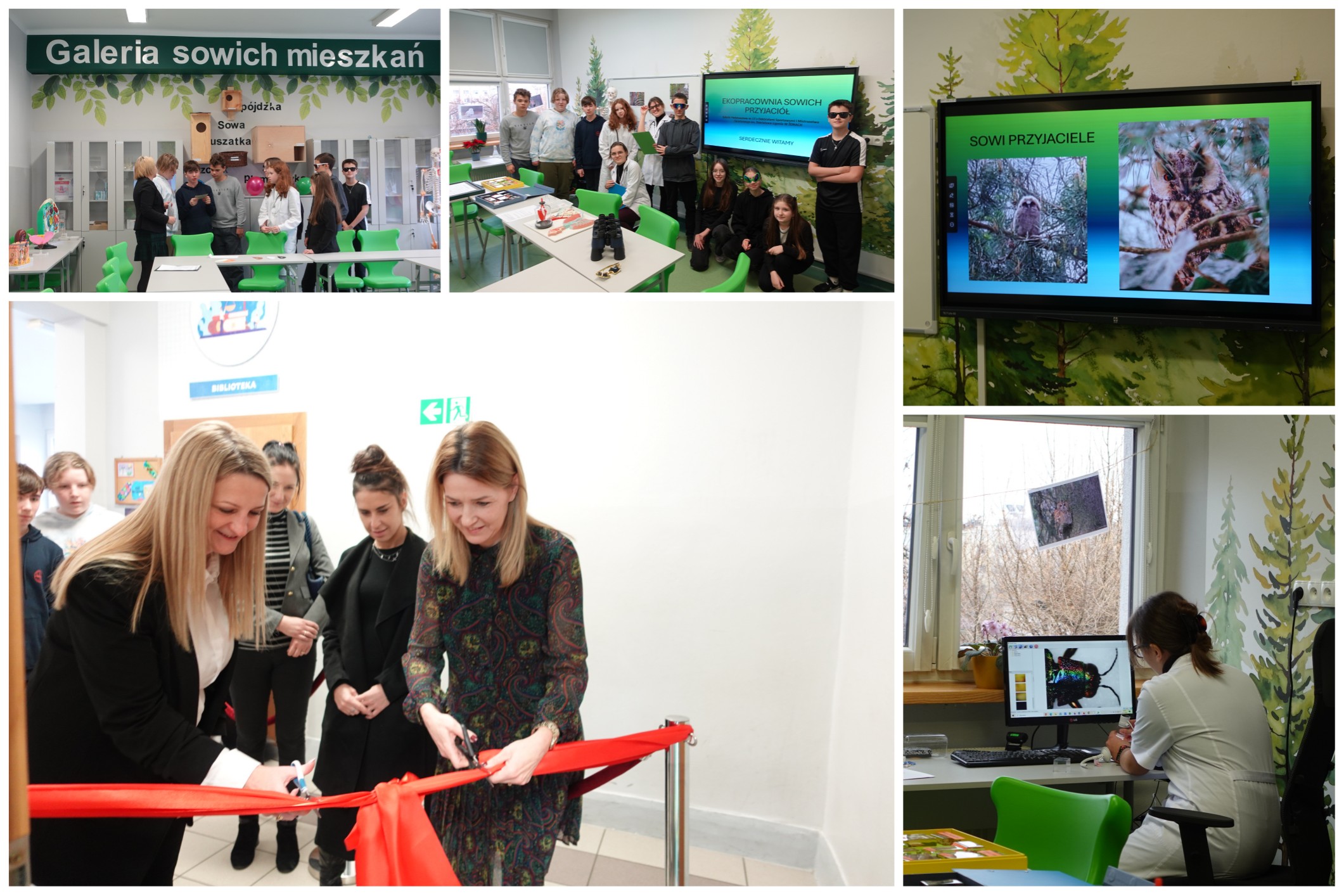 EKOpracownia Sowich Przyjaciół oficjalnie otwarta!