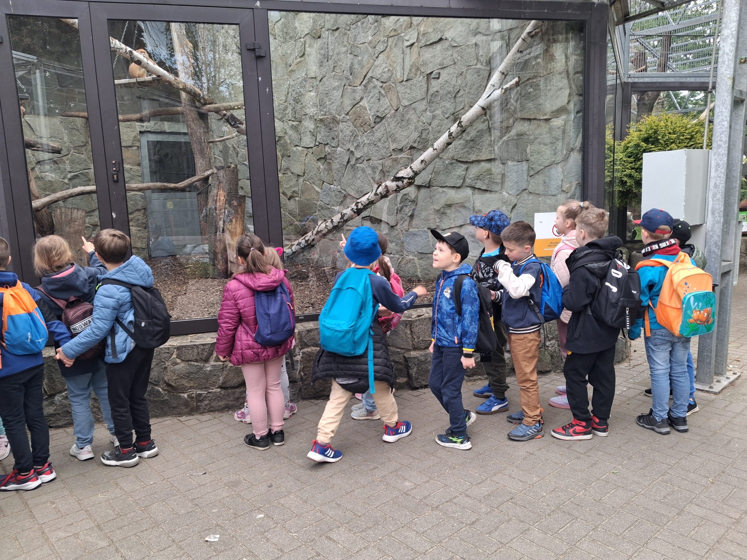 Wycieczka do ZOO w Chorzowie.