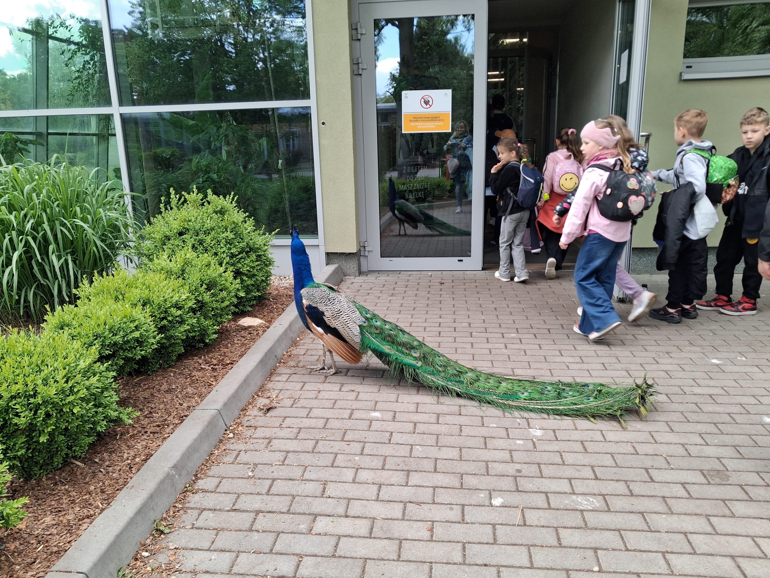 Wycieczka do ZOO w Chorzowie.