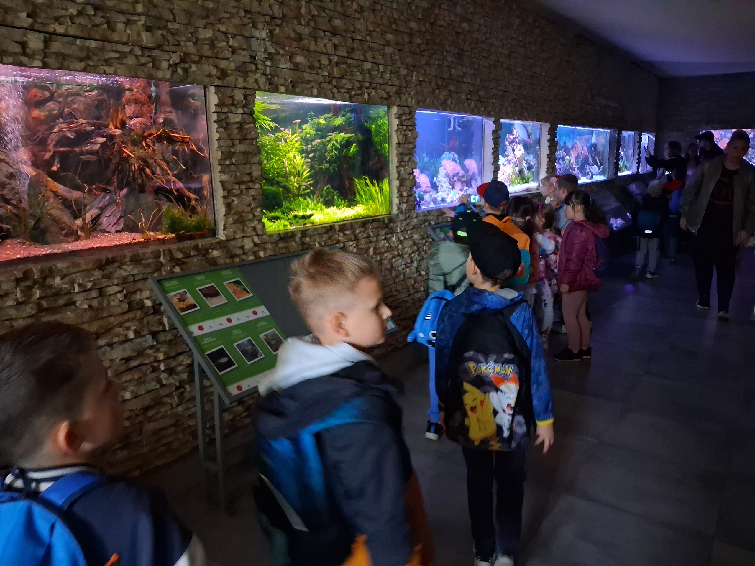 Wycieczka do ZOO w Chorzowie.