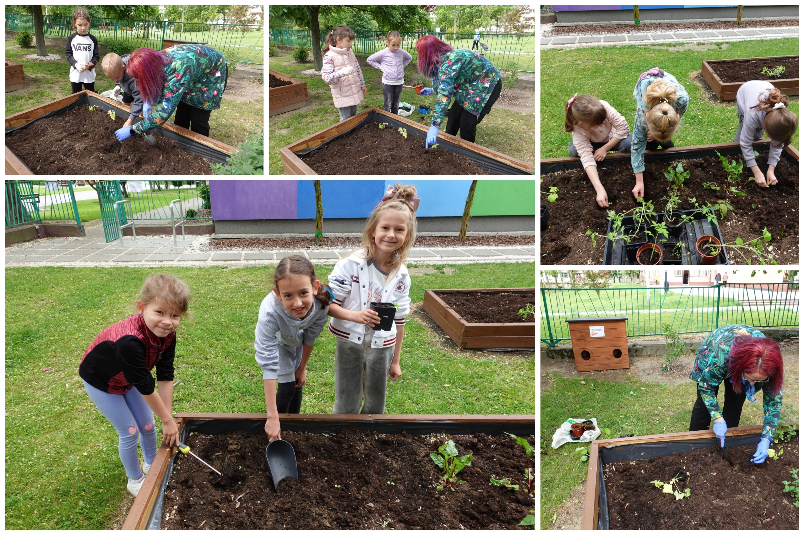 Klasa 1C i projekt „Mały ogrodnik”.