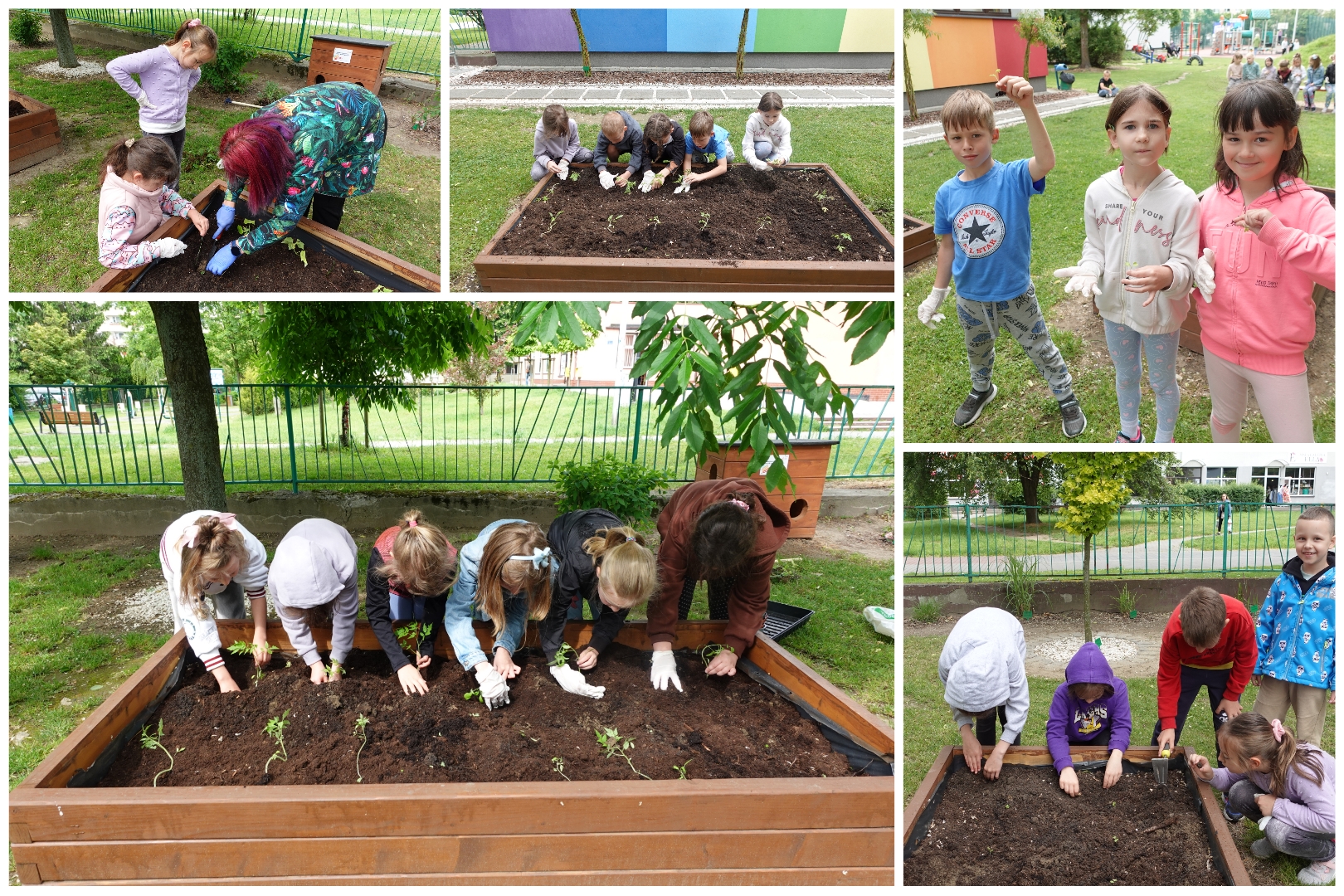 Klasa 1C i projekt „Mały ogrodnik”.