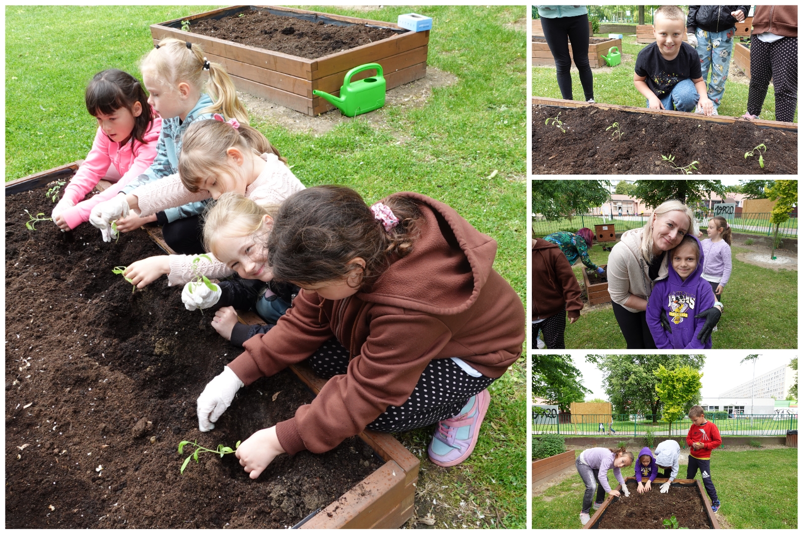 Klasa 1C i projekt „Mały ogrodnik”.