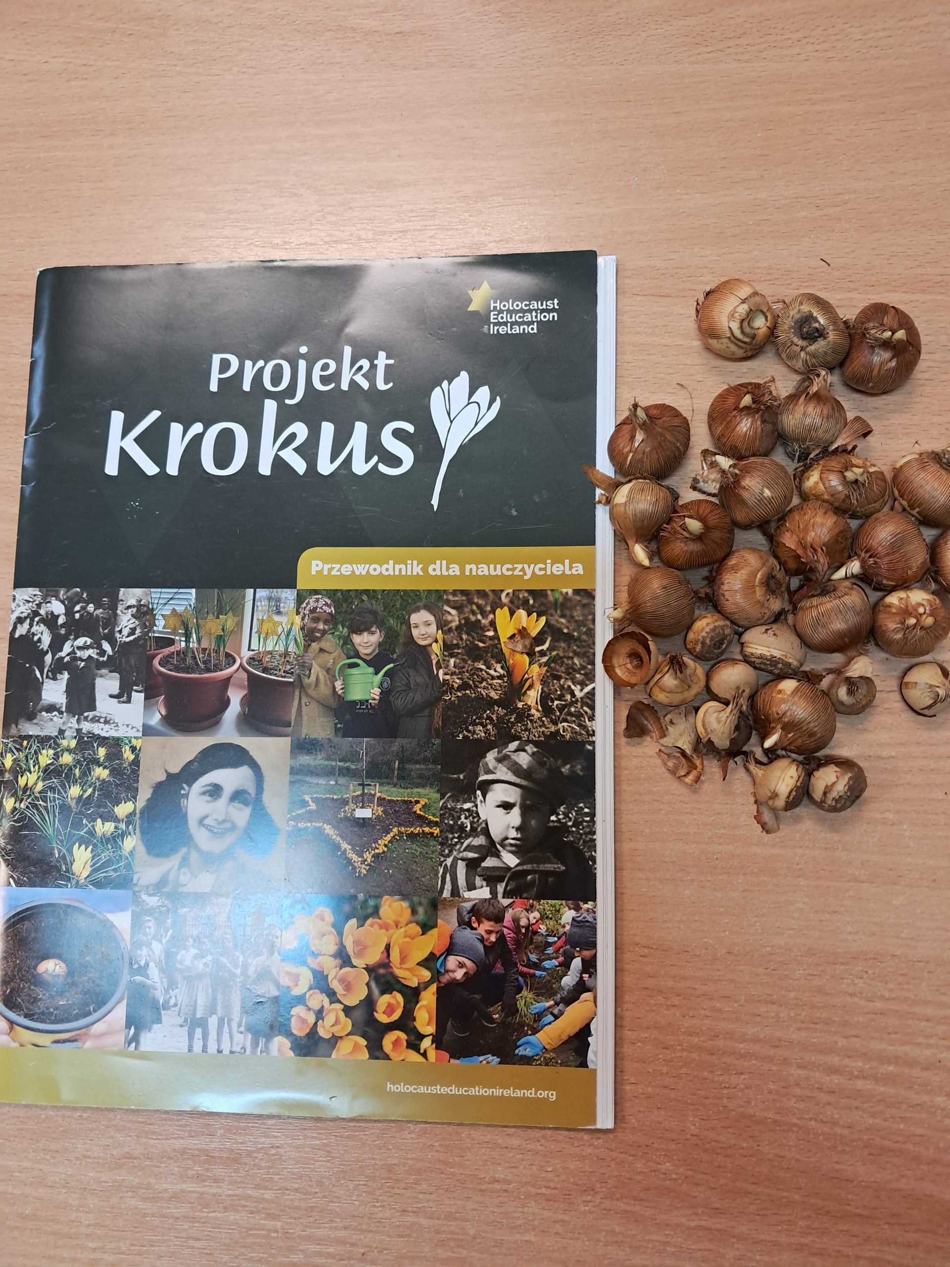 Klasa 7b aktywnie włączyła się w akcję Krokus.