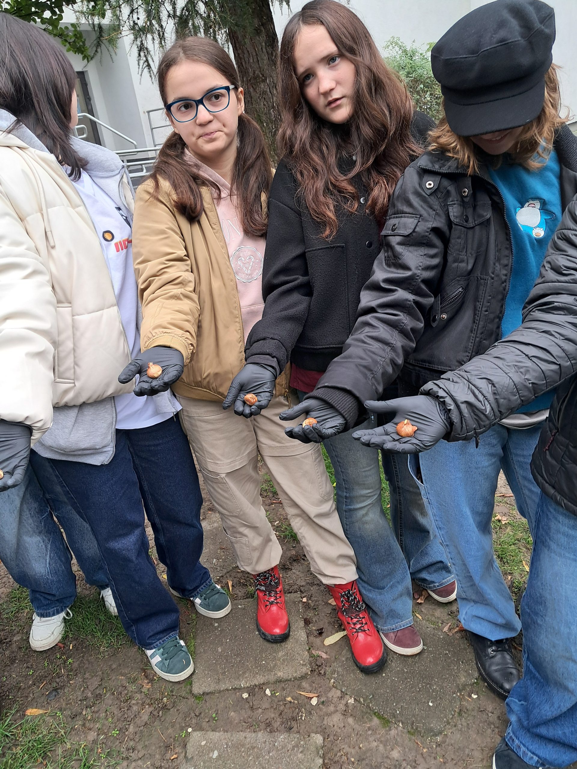 Klasa 7b aktywnie włączyła się w akcję Krokus.